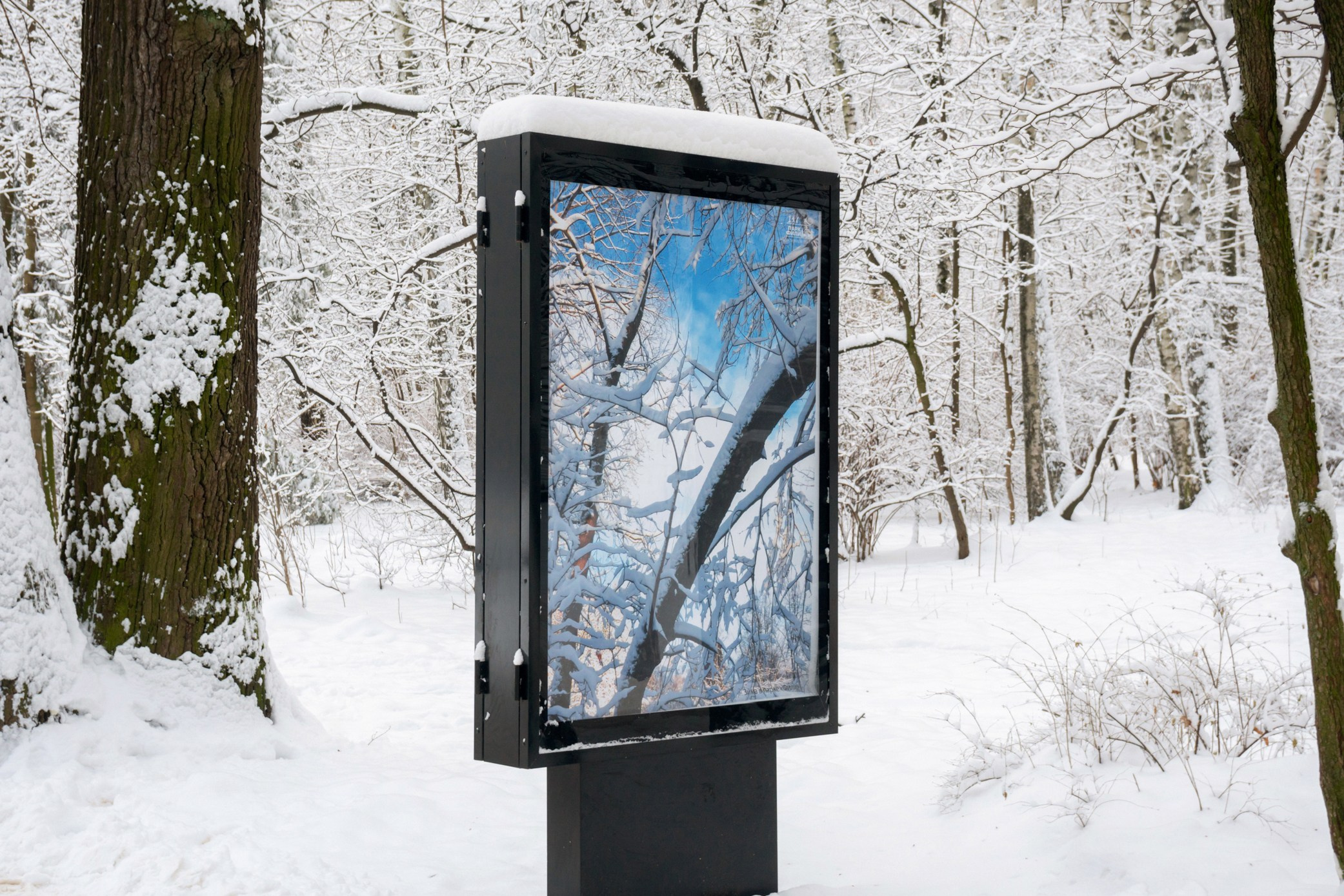 Симуляторы (Каталог № 3). Главная