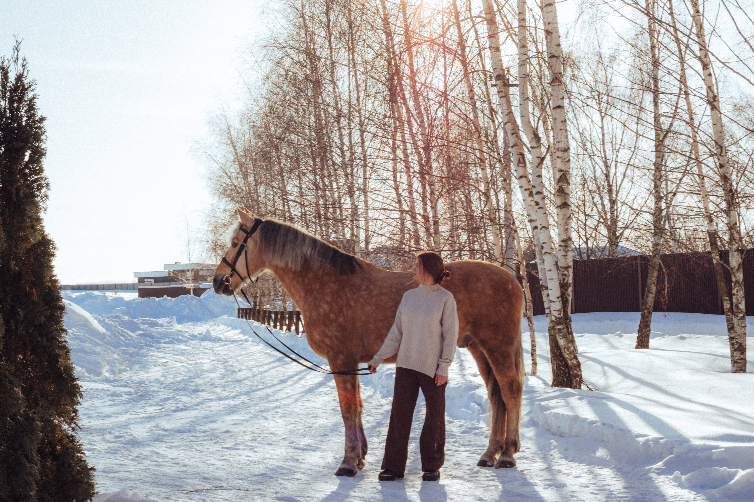 Маша и Фрутти. MariaGohri — Конный фотограф, анималист, Рязань