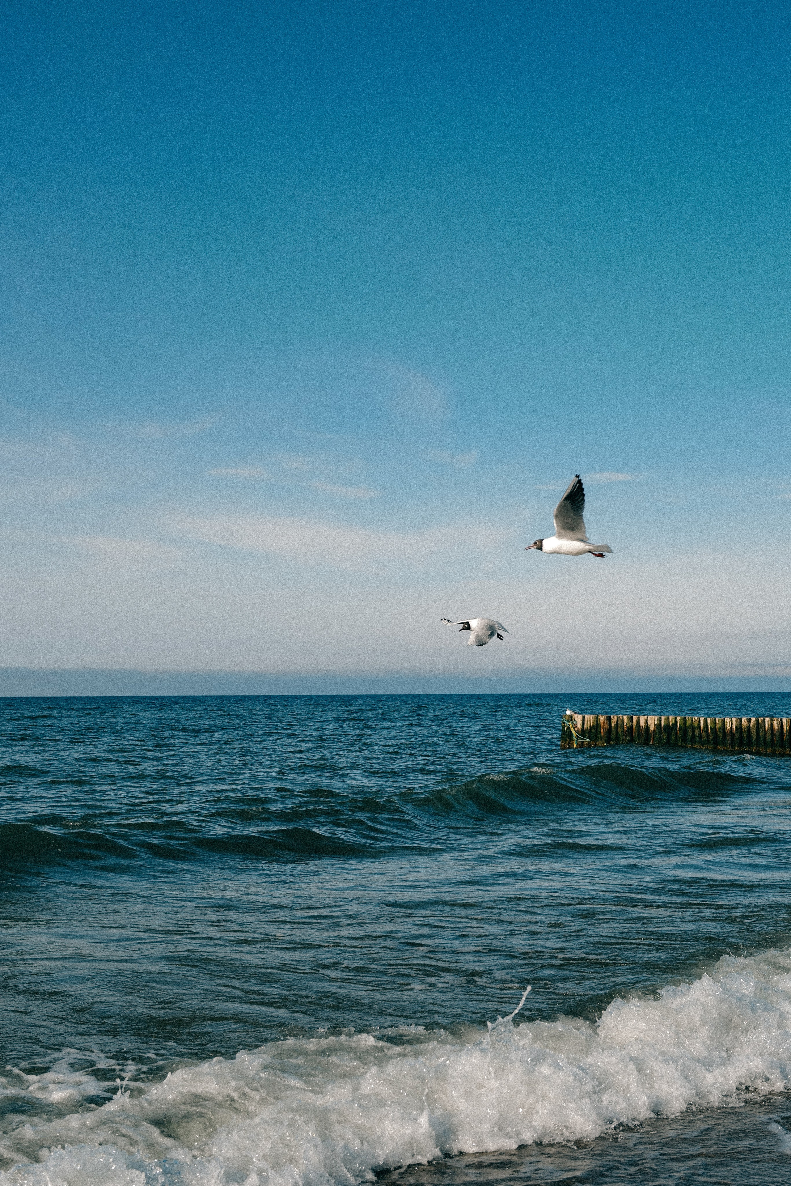 Zelenogradsk. Фотограф София Комкина