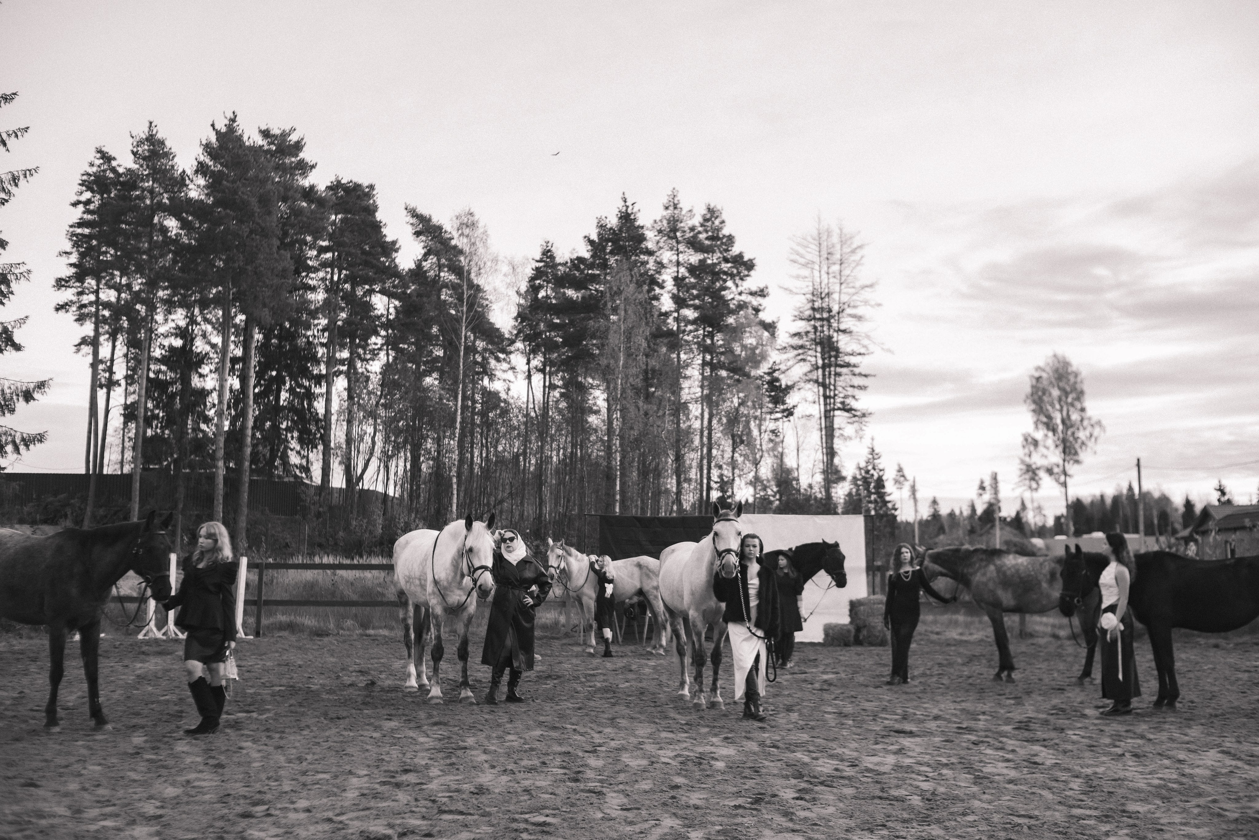 Проект DEFILE. Конный фотограф в Санкт-Петербурге Анна Лебедева