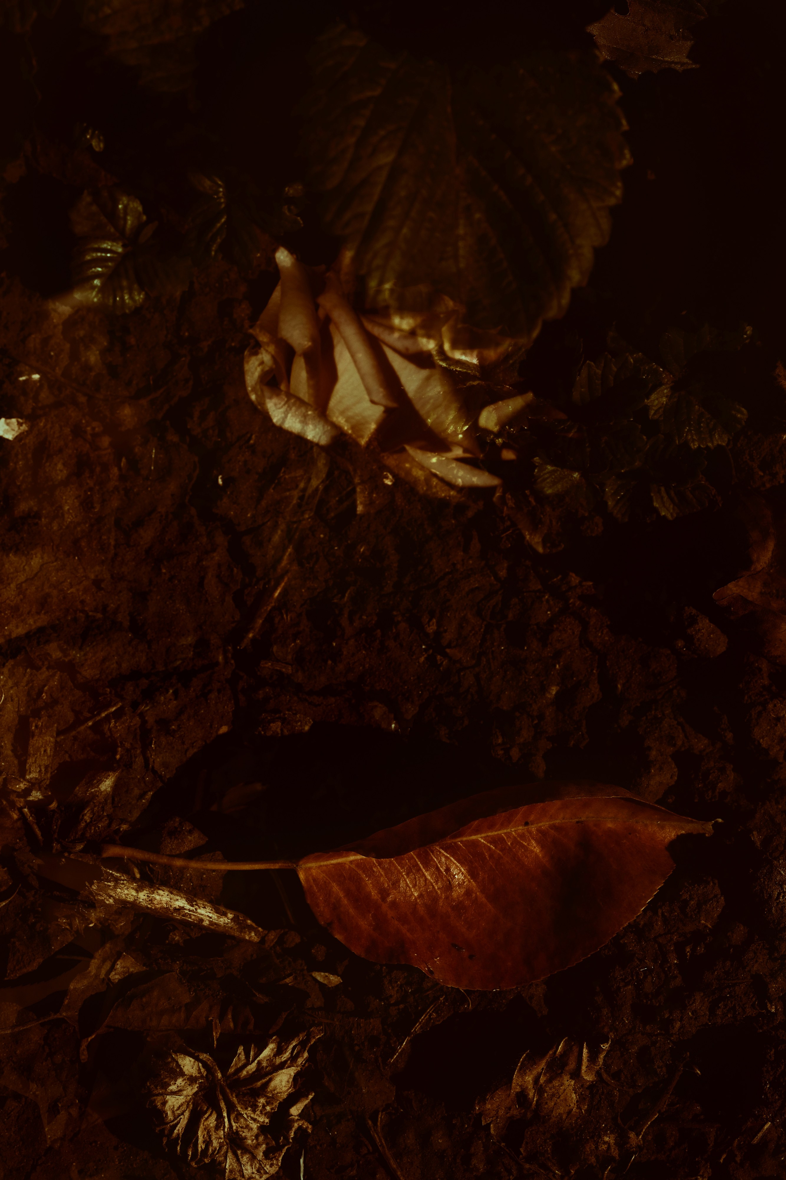 Зарисовки на балконе и на даче. Фотограф в Москве, в Самаре Инна Мамонова