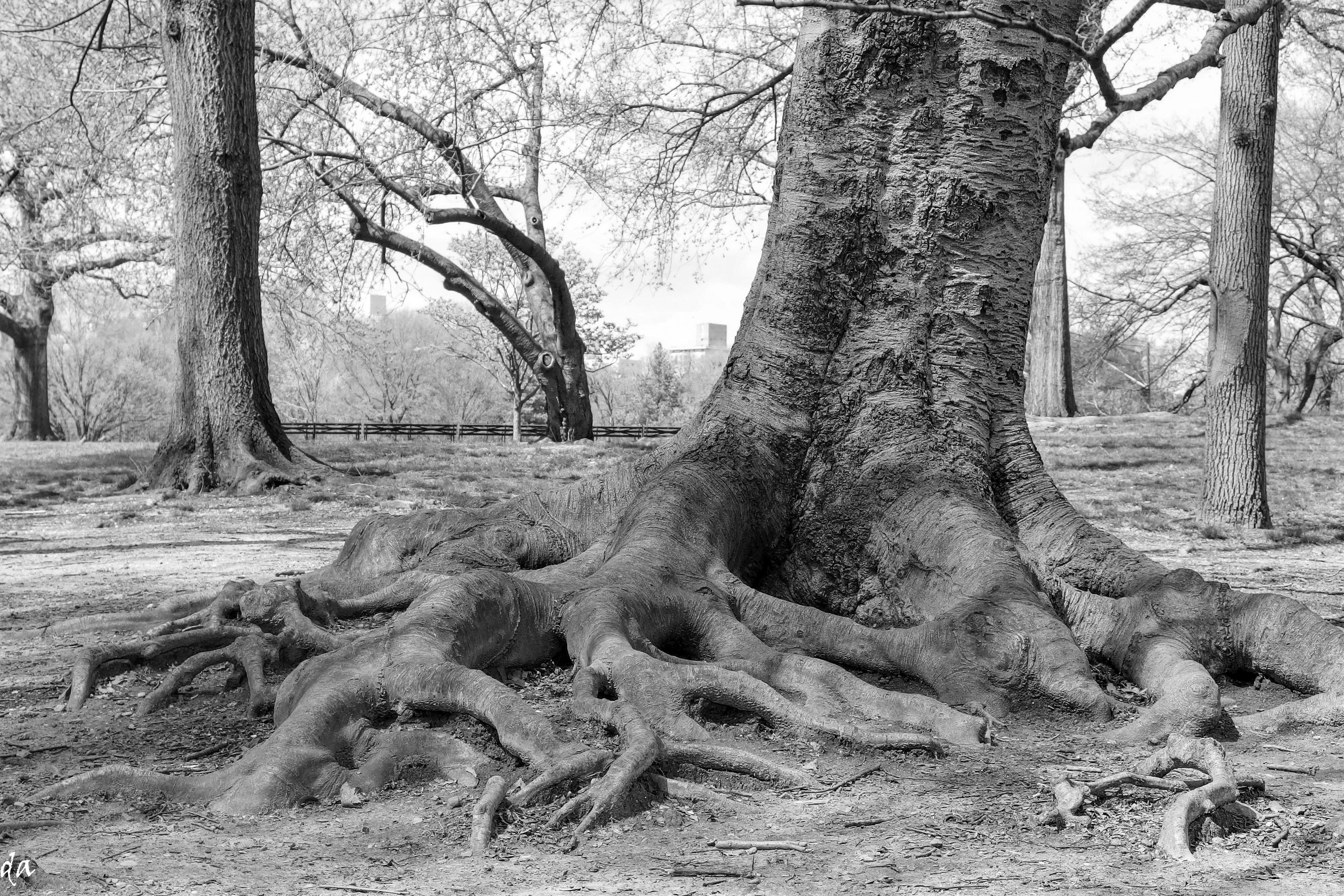 Пейзажи. Фотограф Дмитрий Алексеев
