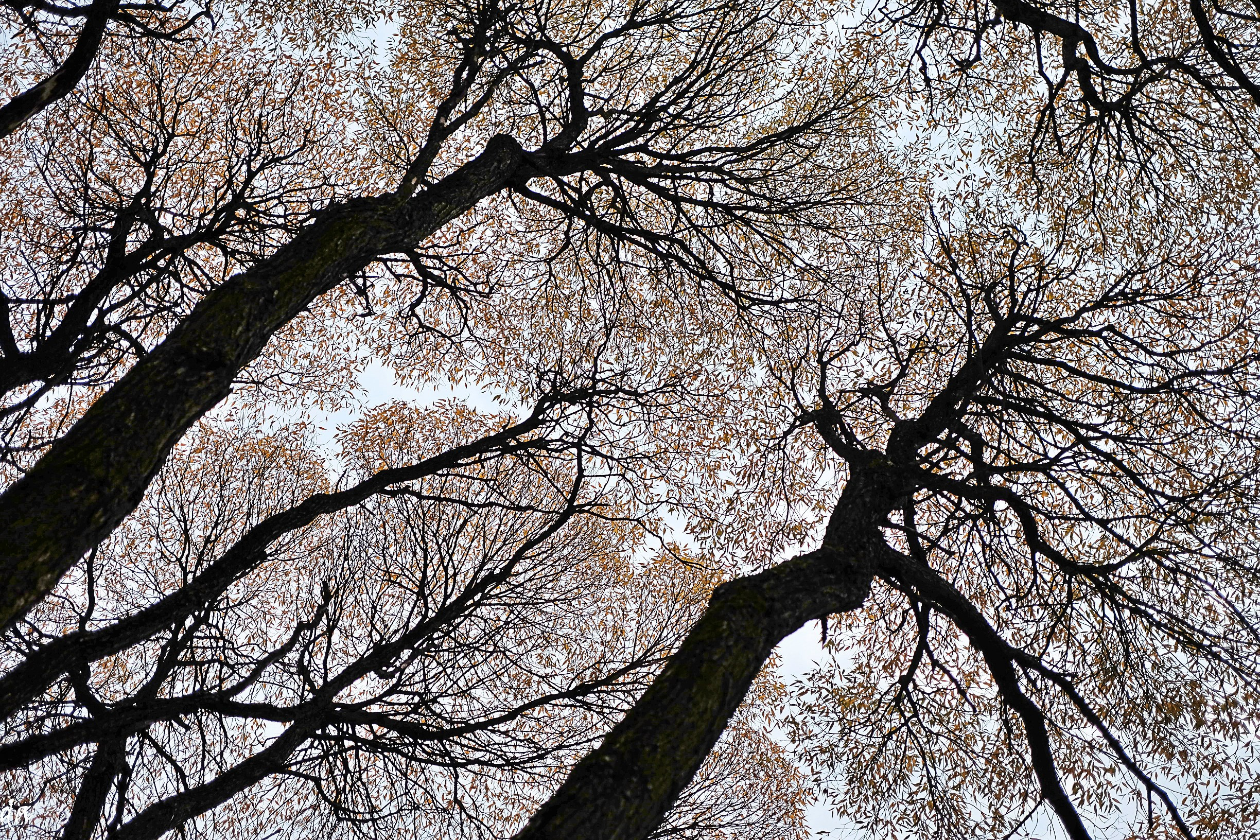 Пейзажи. Фотограф Дмитрий Алексеев