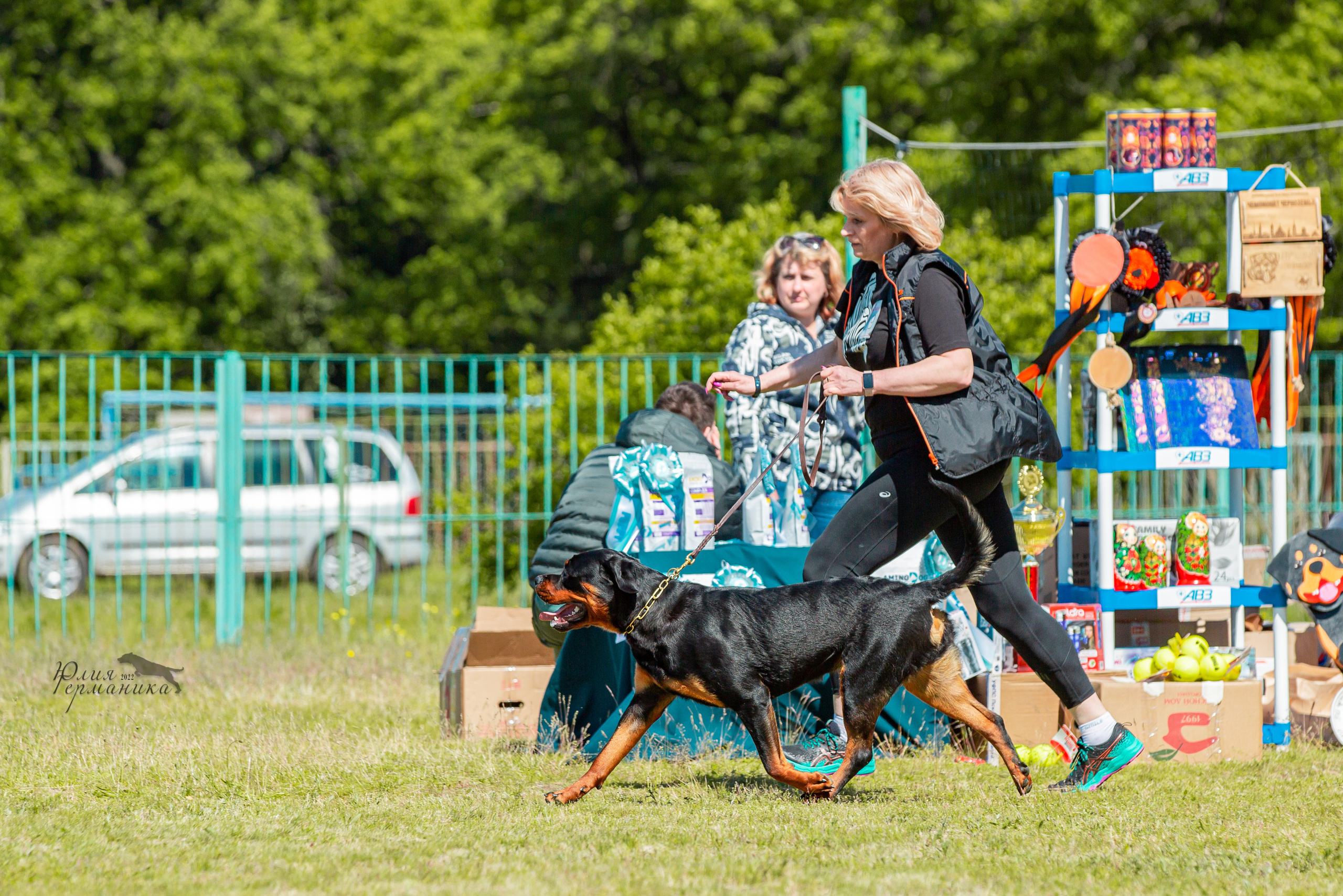Воронеж моно ротвейлеров 28-29 мая 2022. Фотограф-анималист Юлия Германика