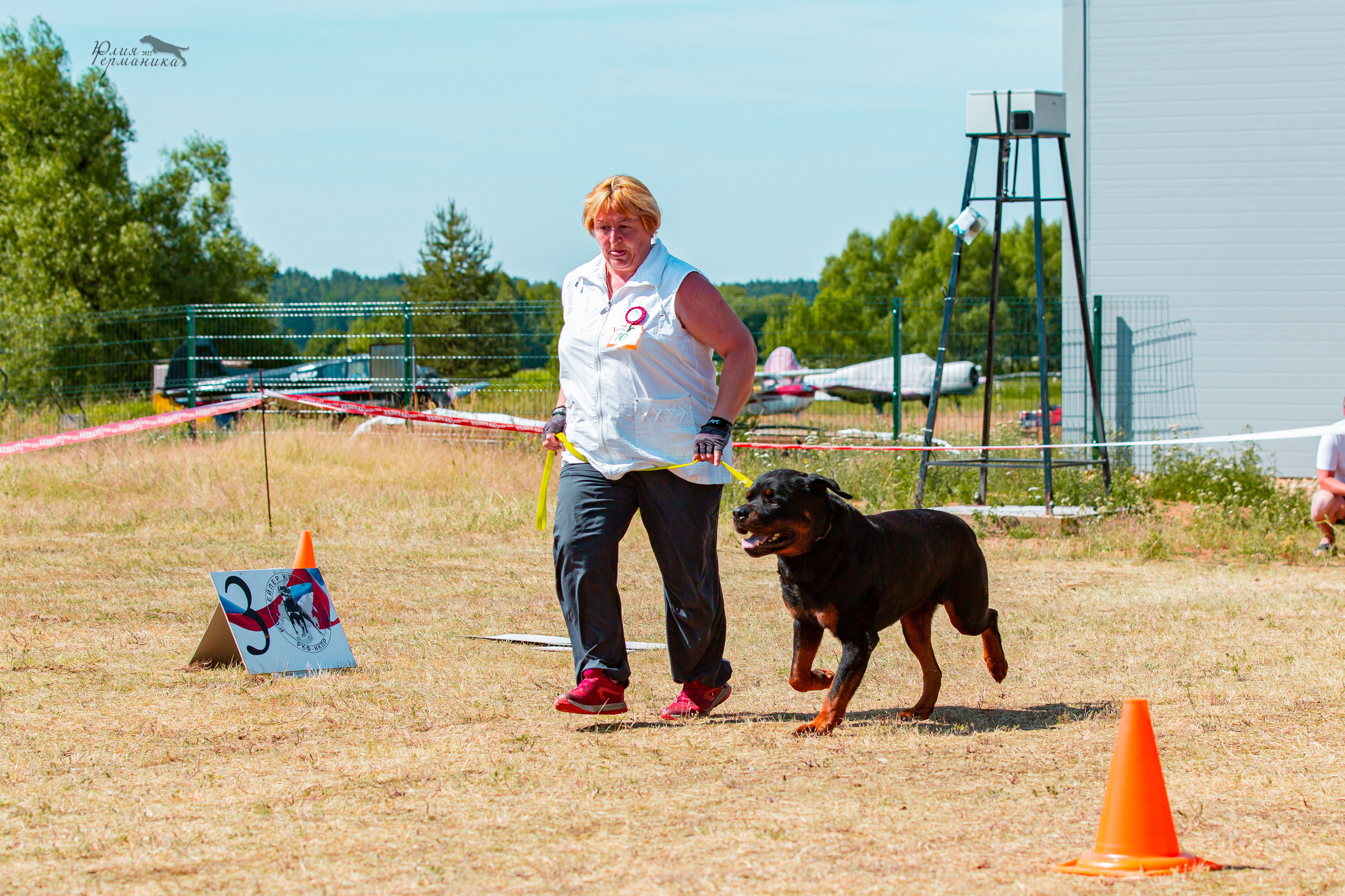 Тверь моно ротвейлеров 2-3.07.2022. Фотограф-анималист Юлия Германика