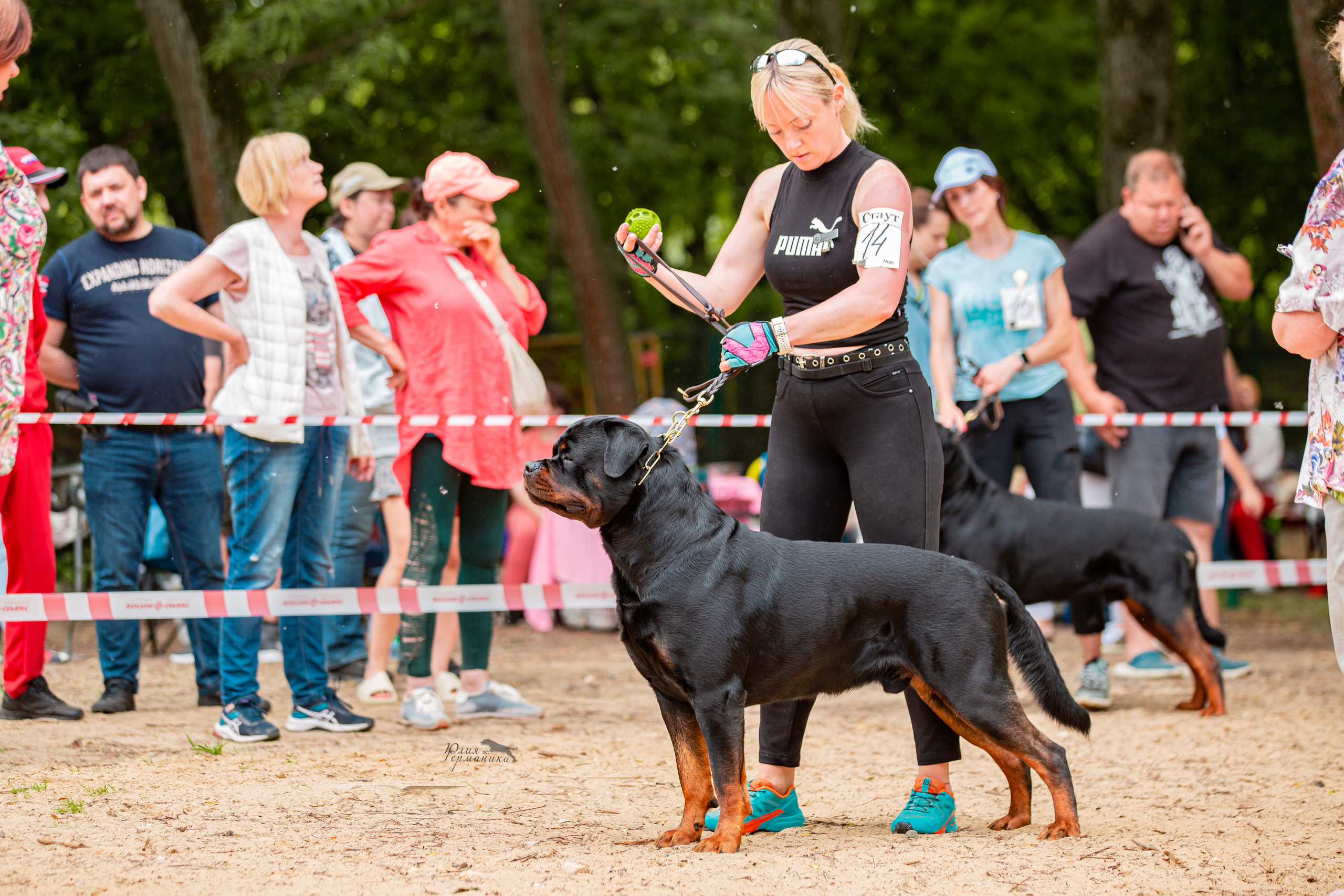 Смоленск 12.06,   Ховрино 13.06,    Питер 18.06 2022. Фотограф-анималист Юлия Германика