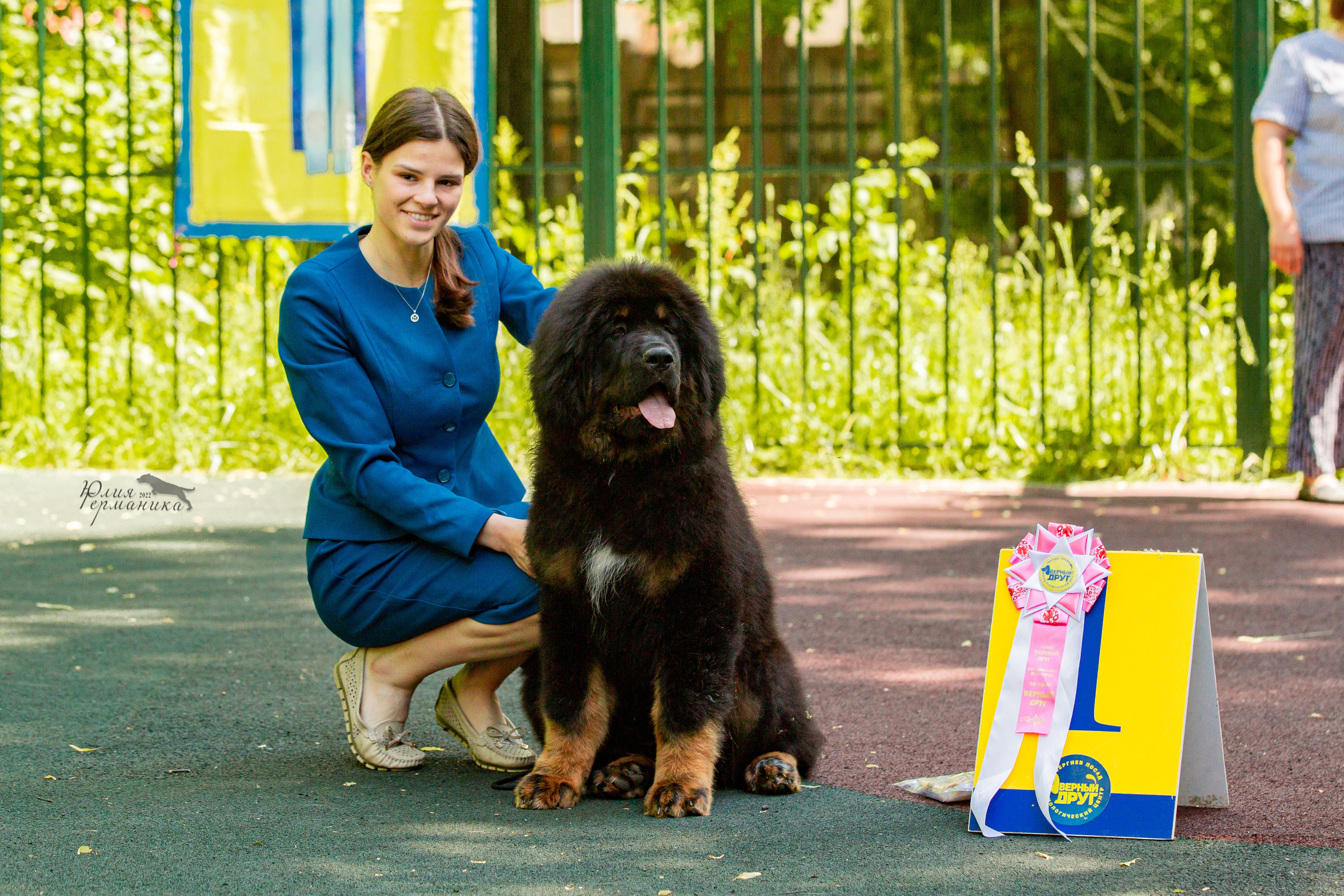 Сергиев Посад 2хСАС 25.06.2022. Фотограф-анималист Юлия Германика
