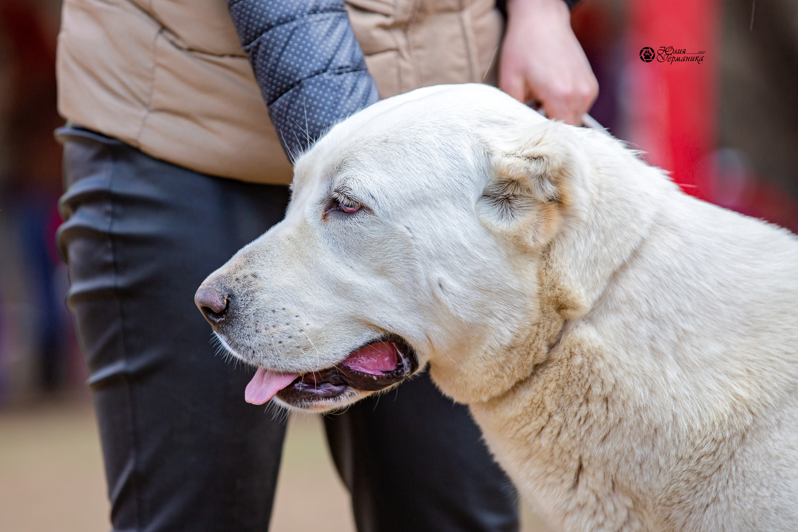 Сокольники 1 мая 2022. Фотограф-анималист Юлия Германика