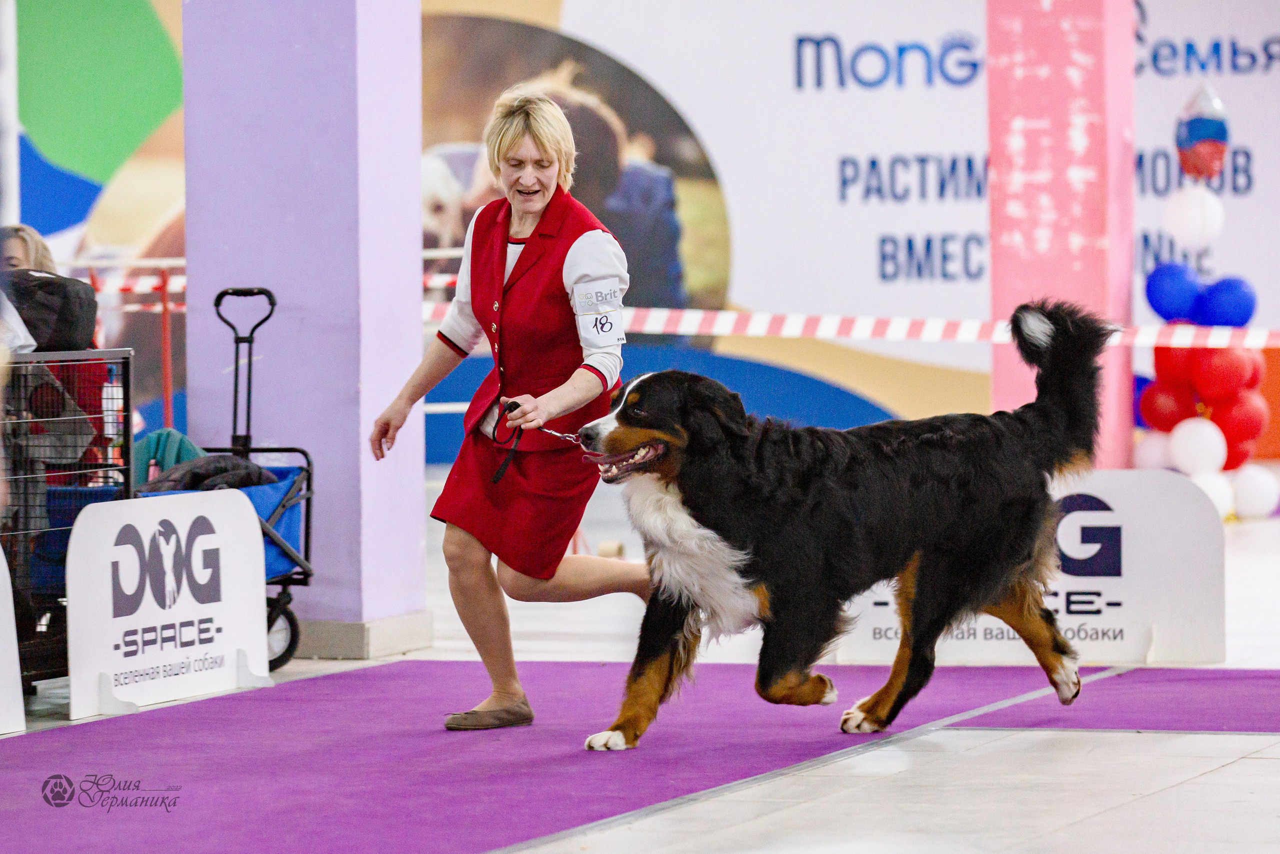 Чайна-Таун 16-17 апреля 2022. Фотограф-анималист Юлия Германика