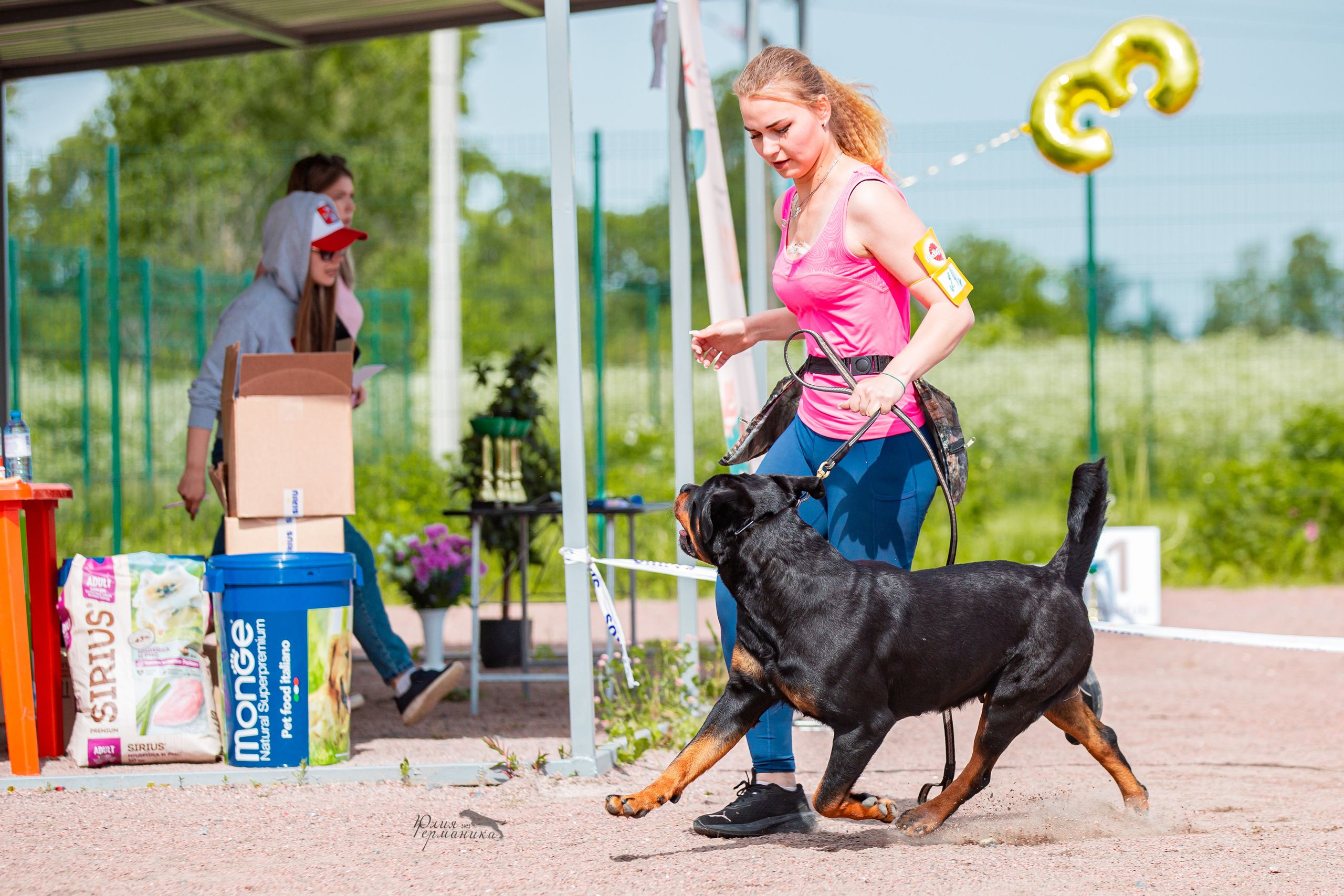 Смоленск 12.06,   Ховрино 13.06,    Питер 18.06 2022. Фотограф-анималист Юлия Германика