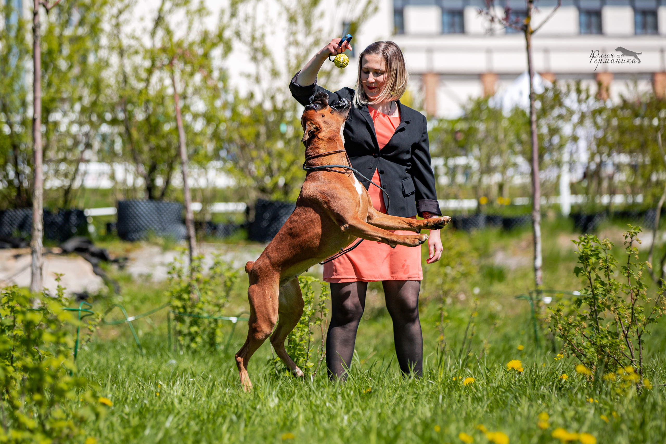 Евразия 21-22 мая 2022. Фотограф-анималист Юлия Германика