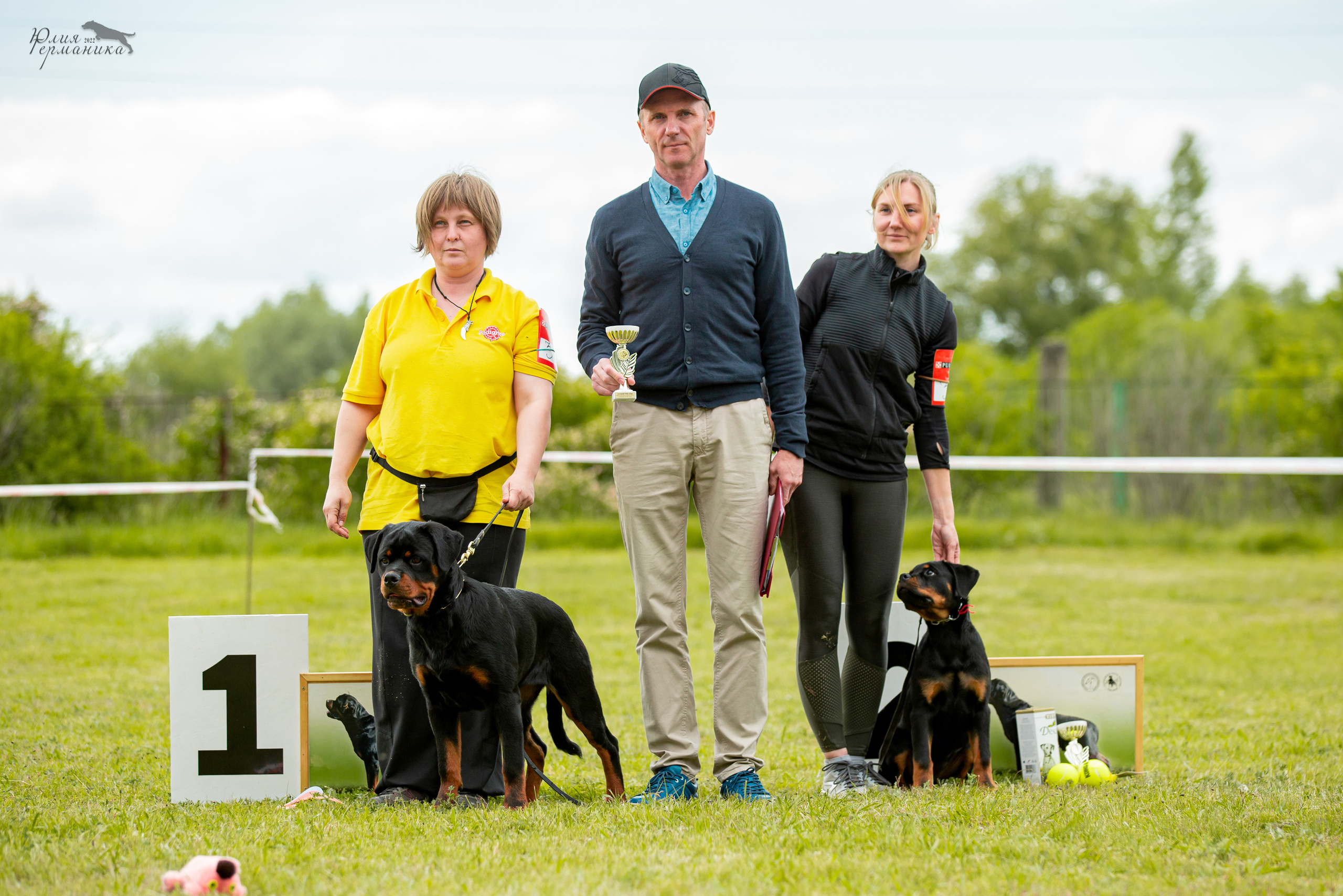 Воронеж моно ротвейлеров 28-29 мая 2022. Фотограф-анималист Юлия Германика