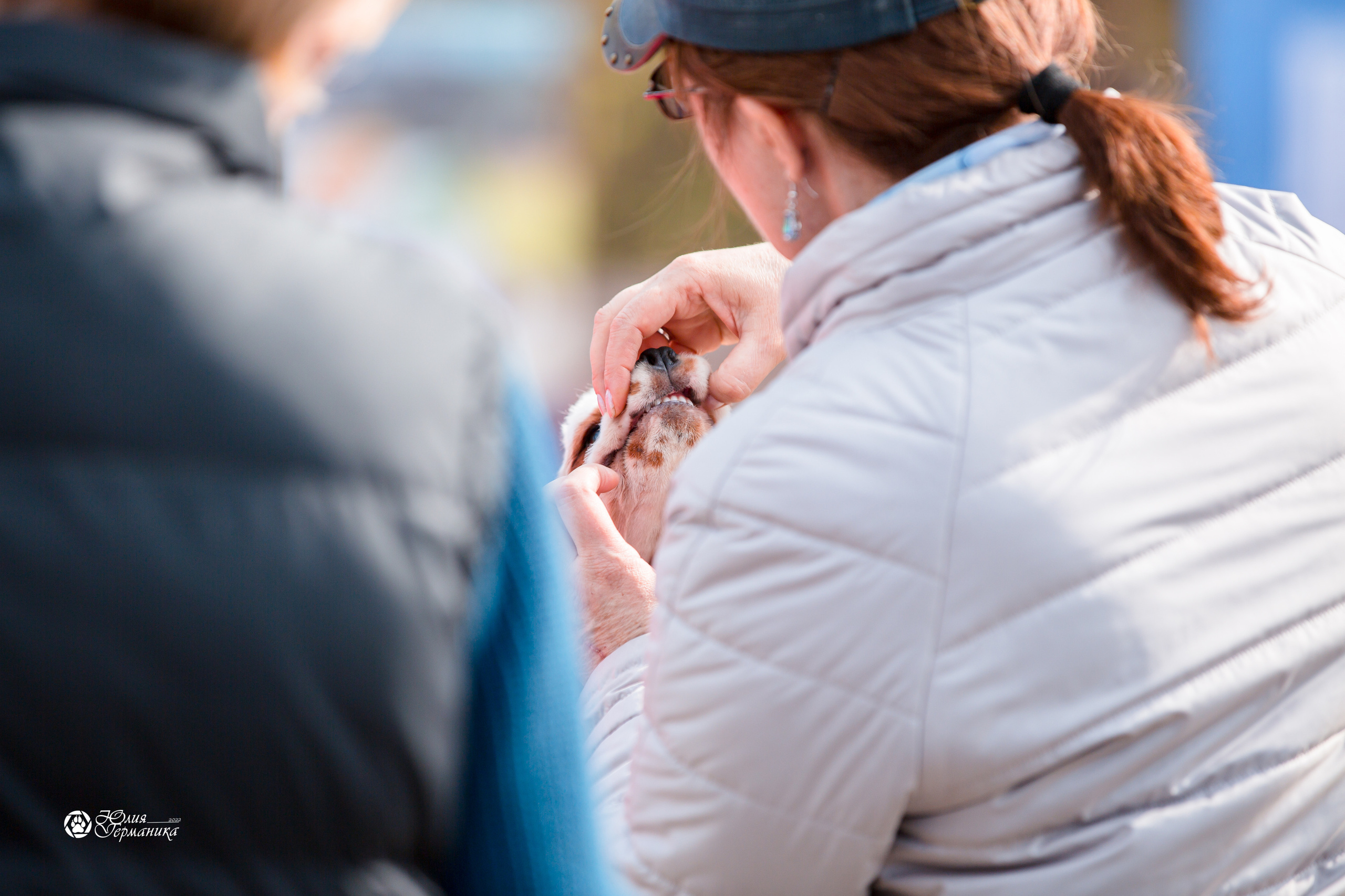 Александров 2хСАС 8 мая 2022. Фотограф-анималист Юлия Германика