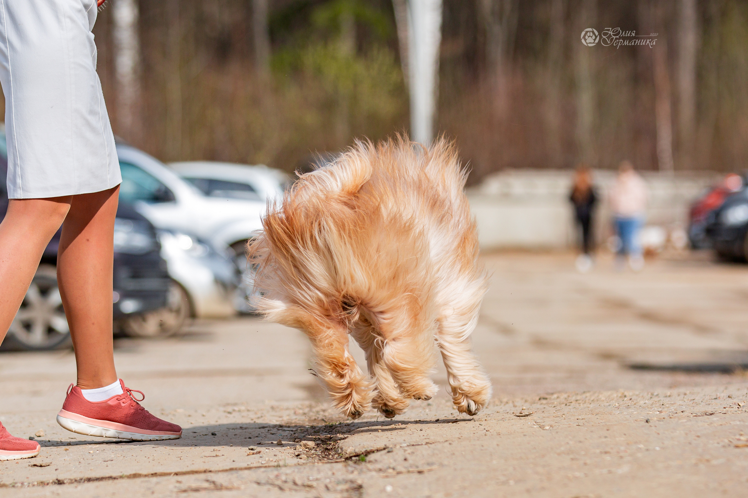 Сергиев Посад 23.04.2022. Фотограф-анималист Юлия Германика