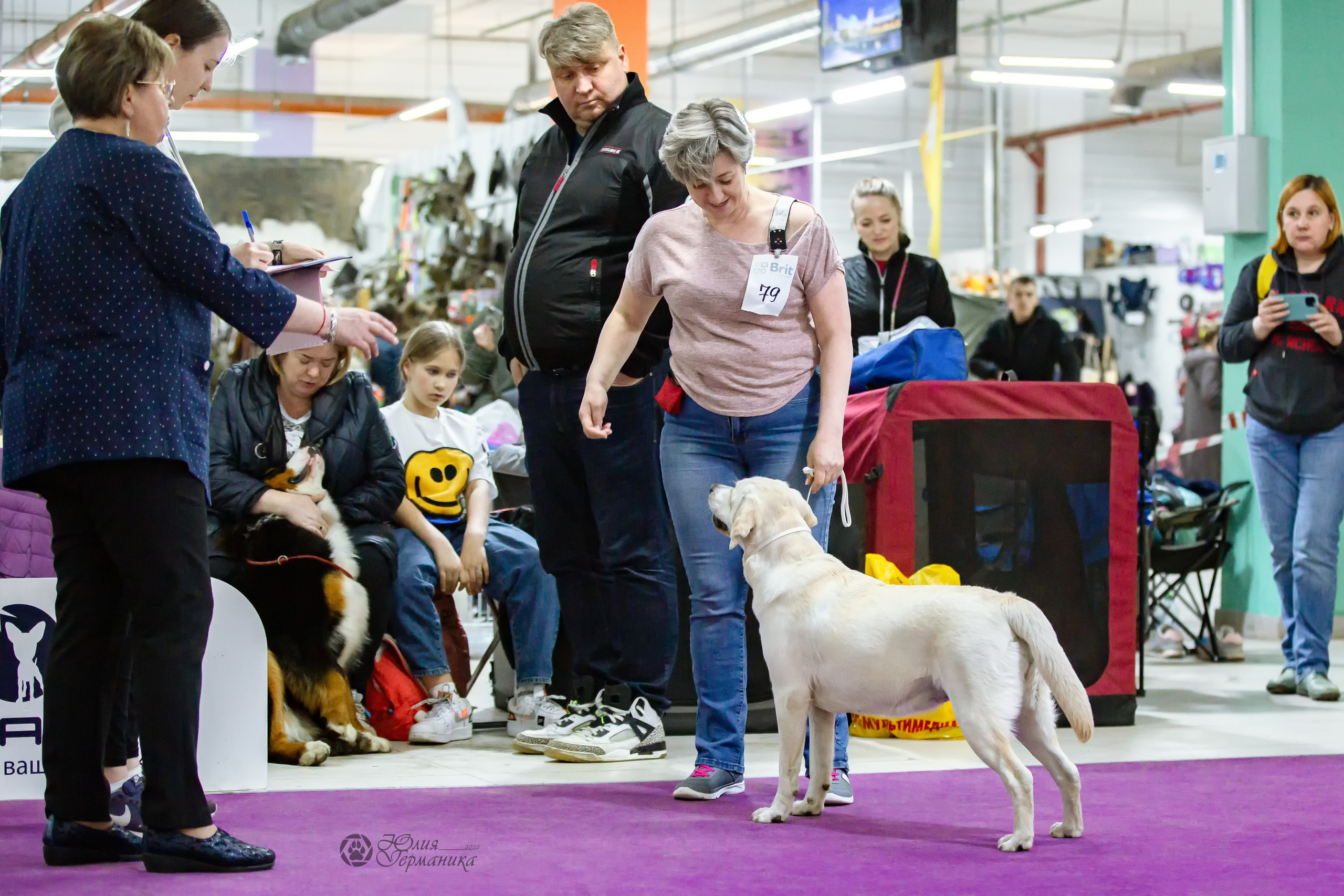 Чайна-Таун 16-17 апреля 2022. Фотограф-анималист Юлия Германика