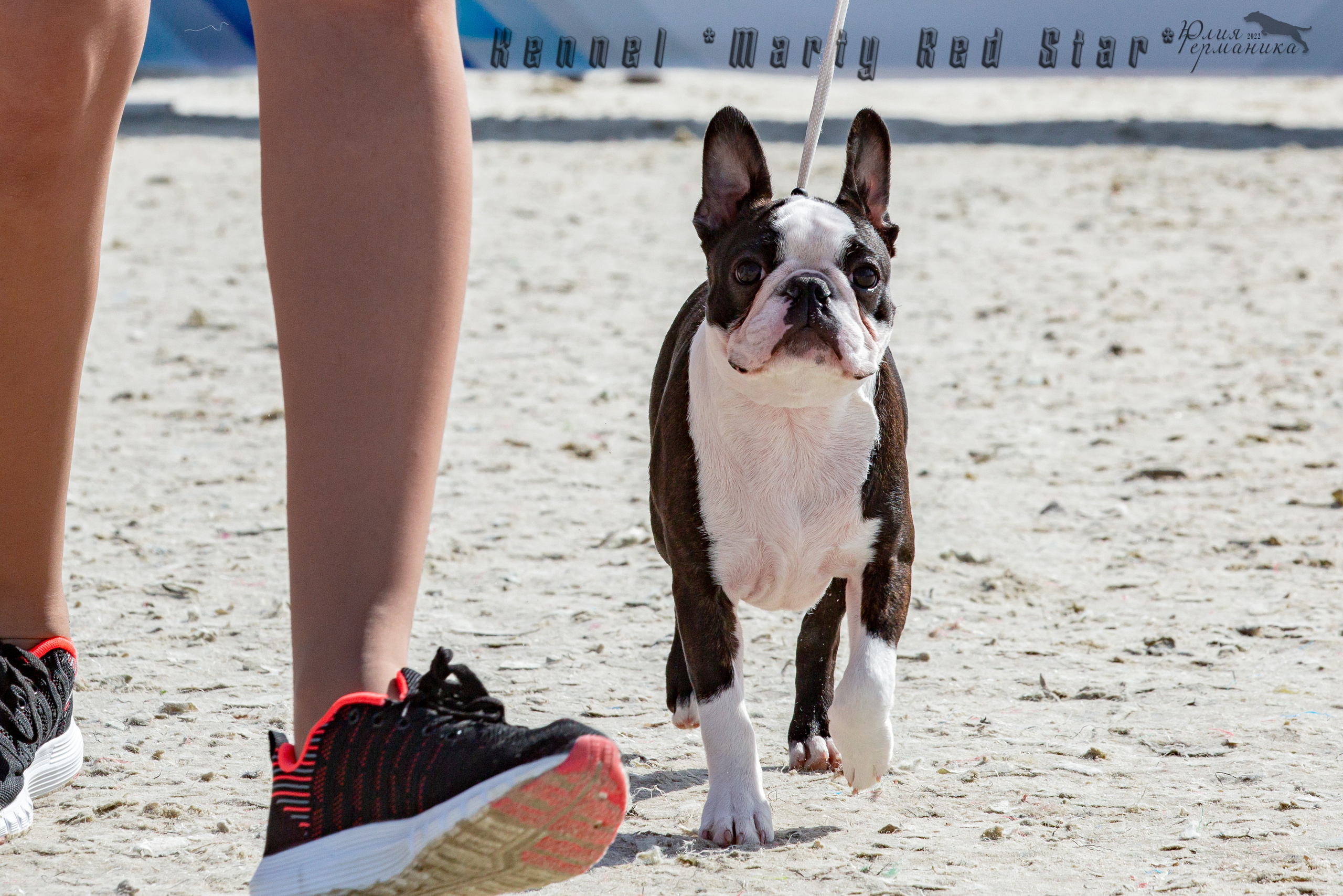 Евразия 21-22 мая 2022. Фотограф-анималист Юлия Германика