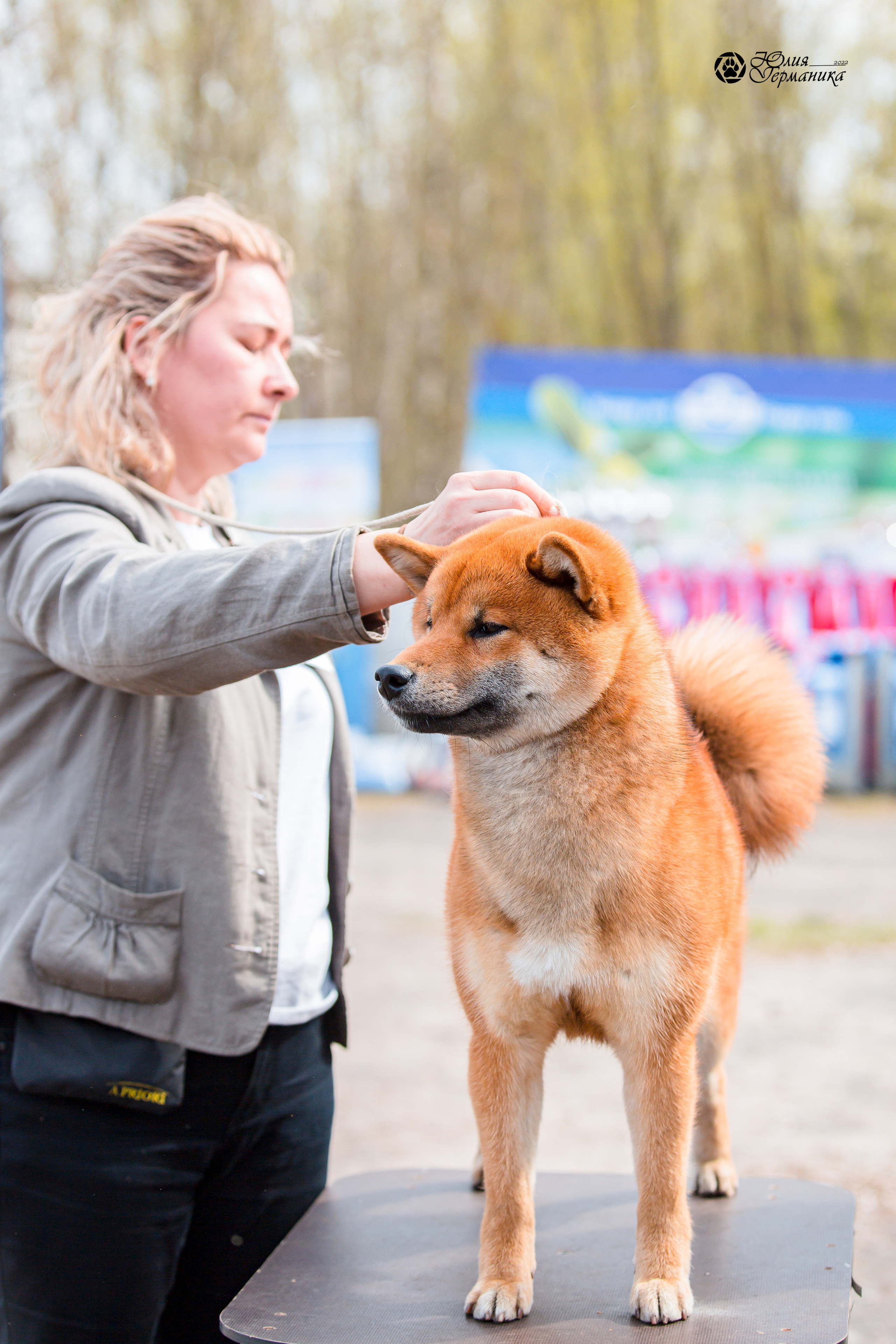Александров 2хСАС 8 мая 2022. Фотограф-анималист Юлия Германика