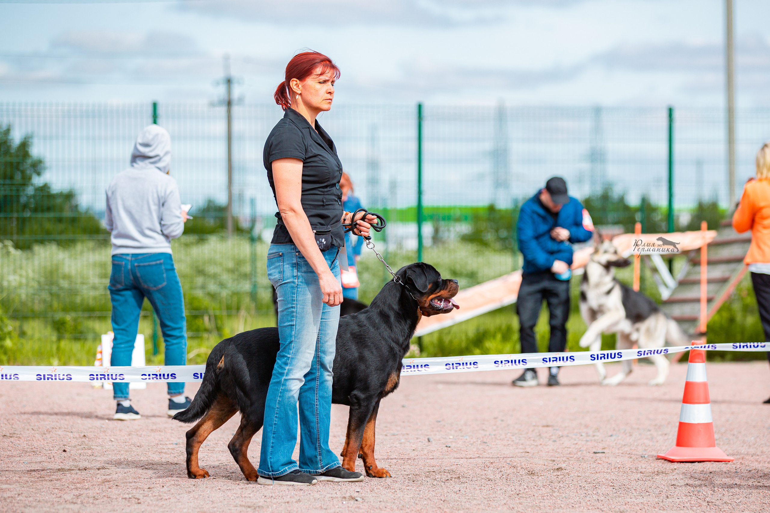 Смоленск 12.06,   Ховрино 13.06,    Питер 18.06 2022. Фотограф-анималист Юлия Германика