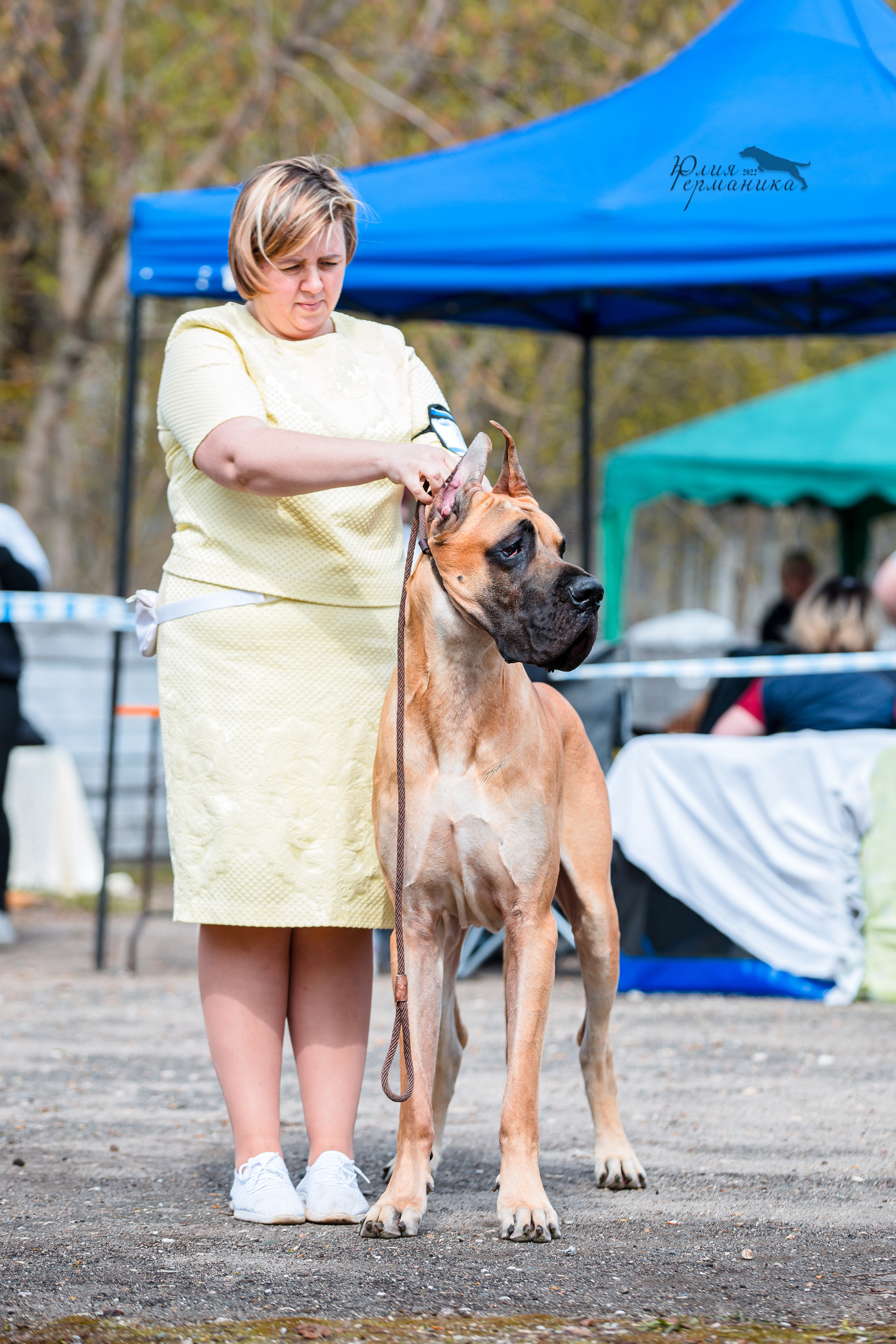 Александров 2хСАС 8 мая 2022. Фотограф-анималист Юлия Германика
