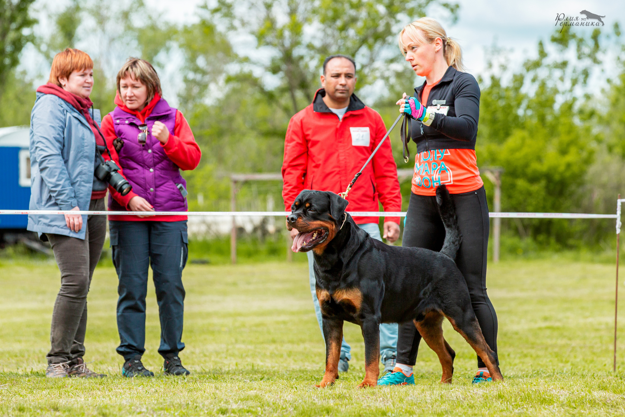 Воронеж моно ротвейлеров 28-29 мая 2022. Фотограф-анималист Юлия Германика