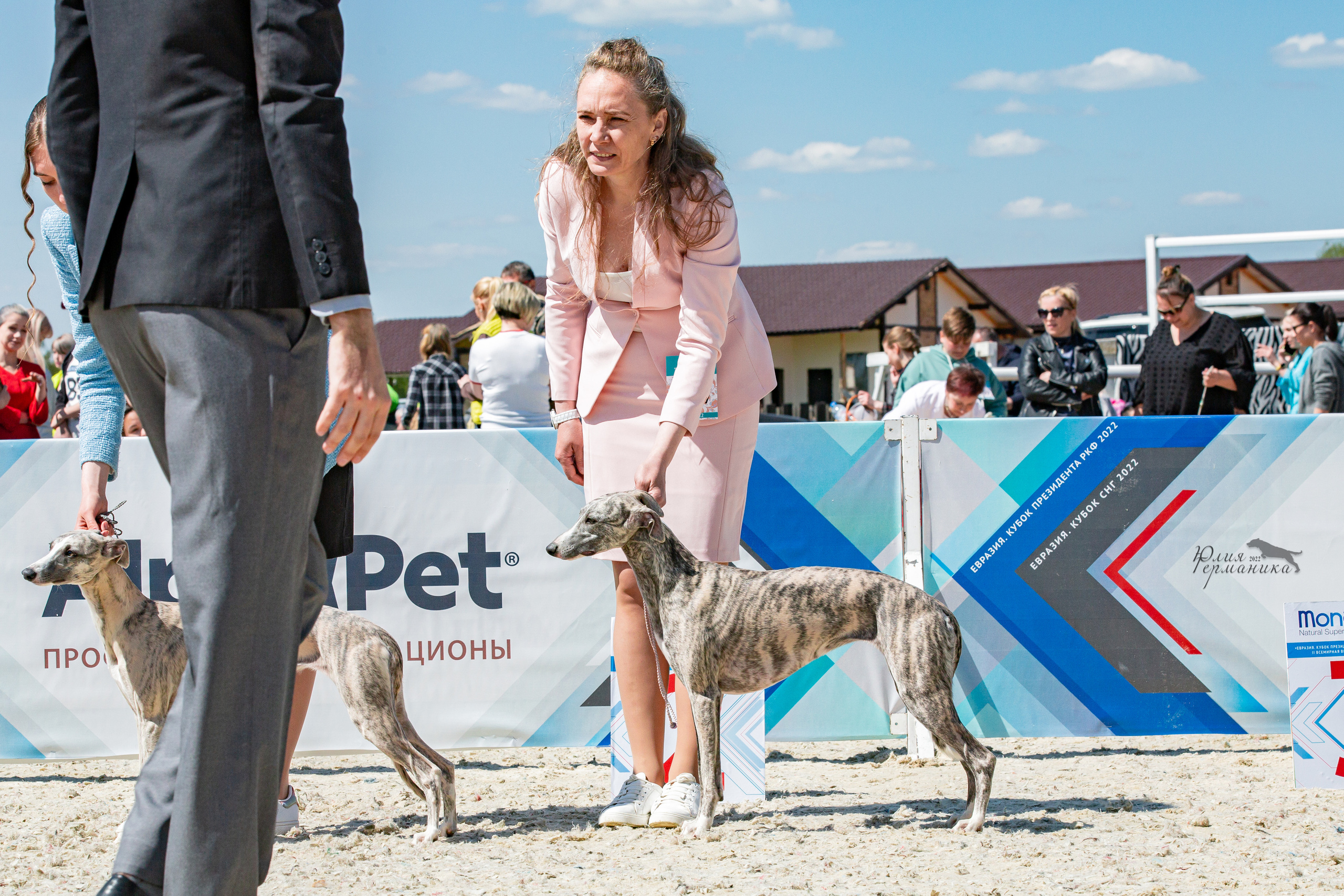 Евразия 21-22 мая 2022. Фотограф-анималист Юлия Германика