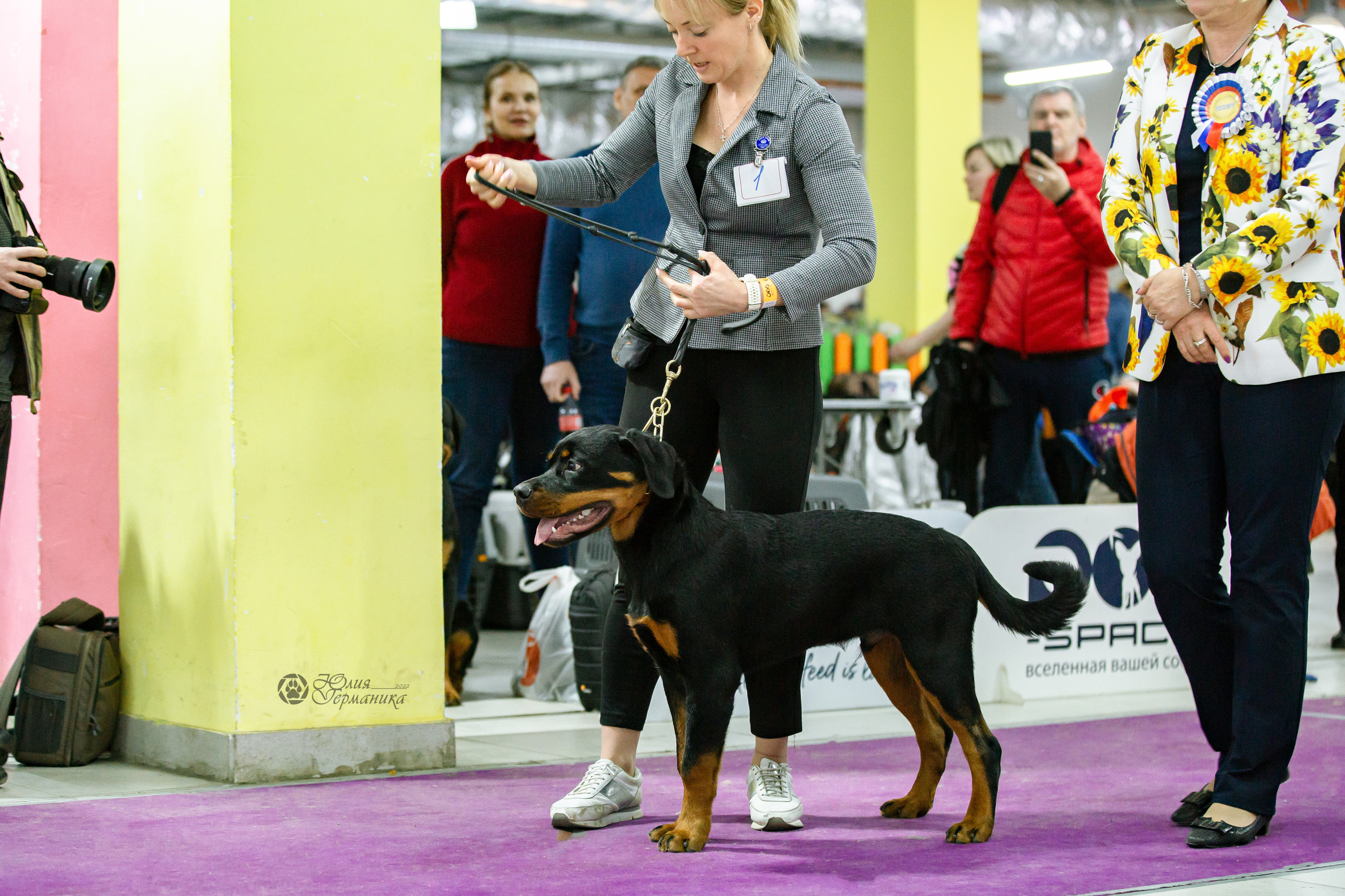 Чайна-Таун 16-17 апреля 2022. Фотограф-анималист Юлия Германика