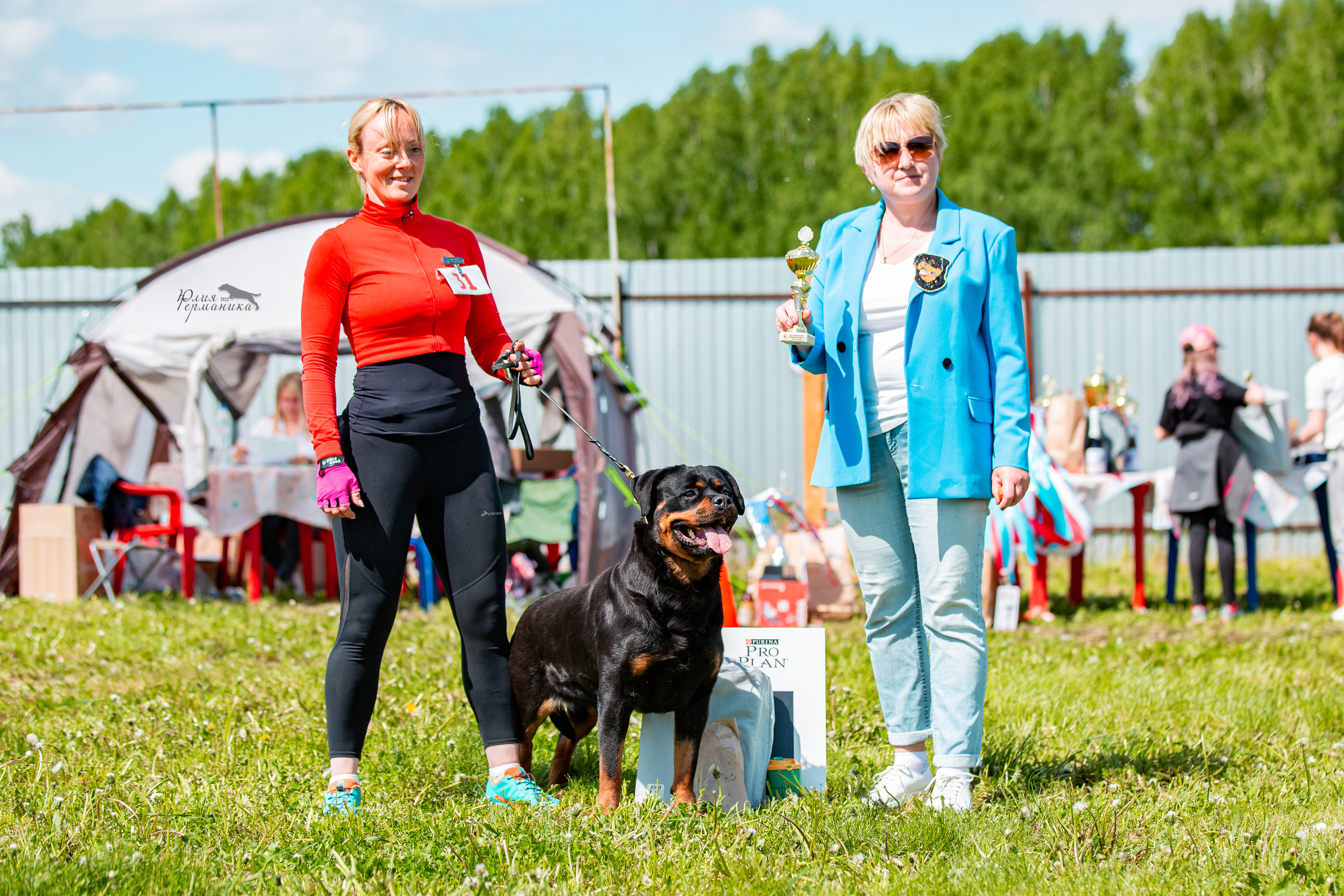 Нижний Новгород моно ротвейлеров 4 июня 2022. Фотограф-анималист Юлия Германика