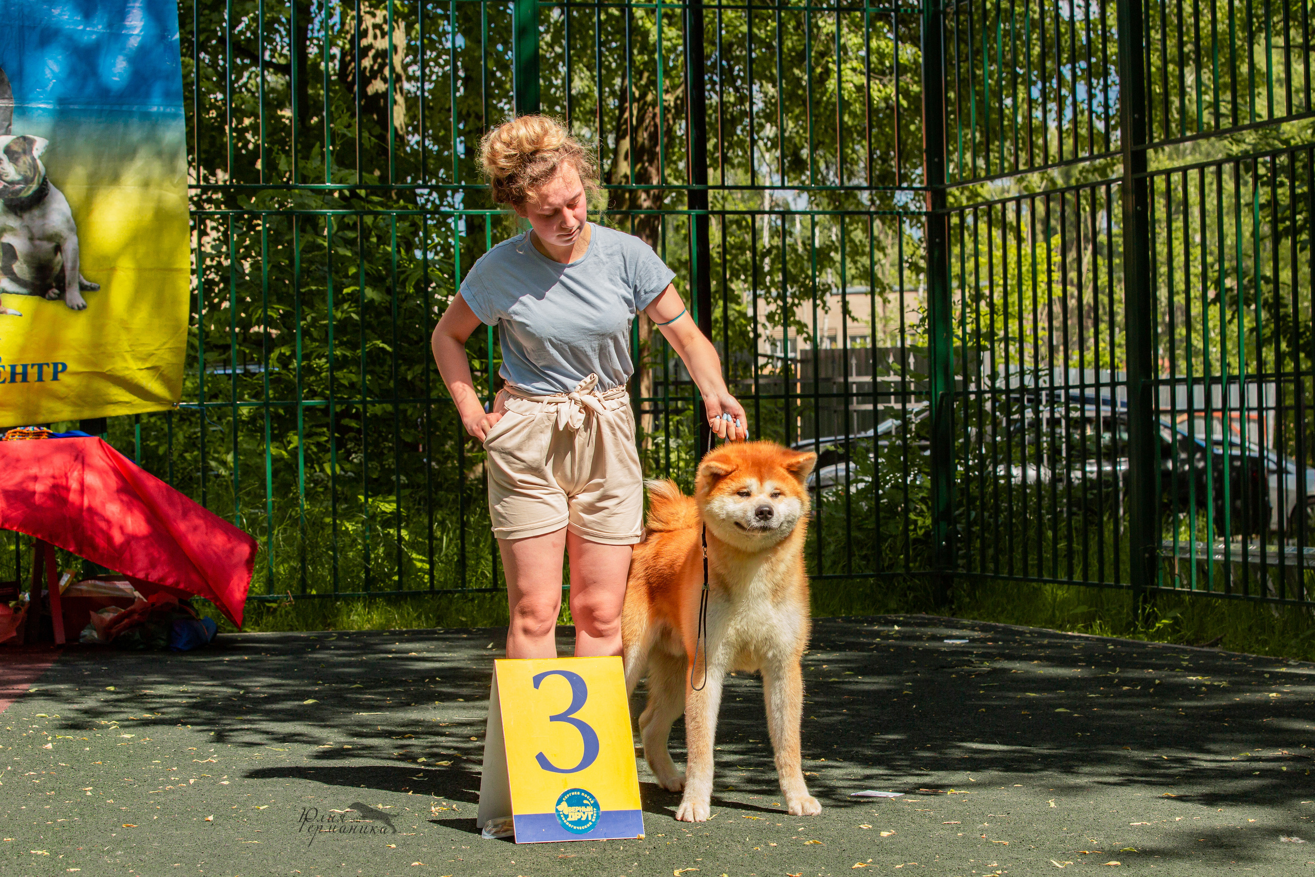 Сергиев Посад 2хСАС 25.06.2022. Фотограф-анималист Юлия Германика