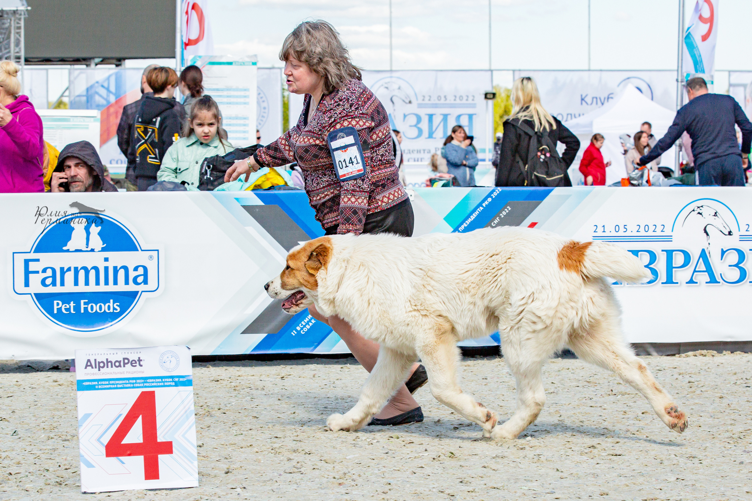 Евразия 21-22 мая 2022. Фотограф-анималист Юлия Германика