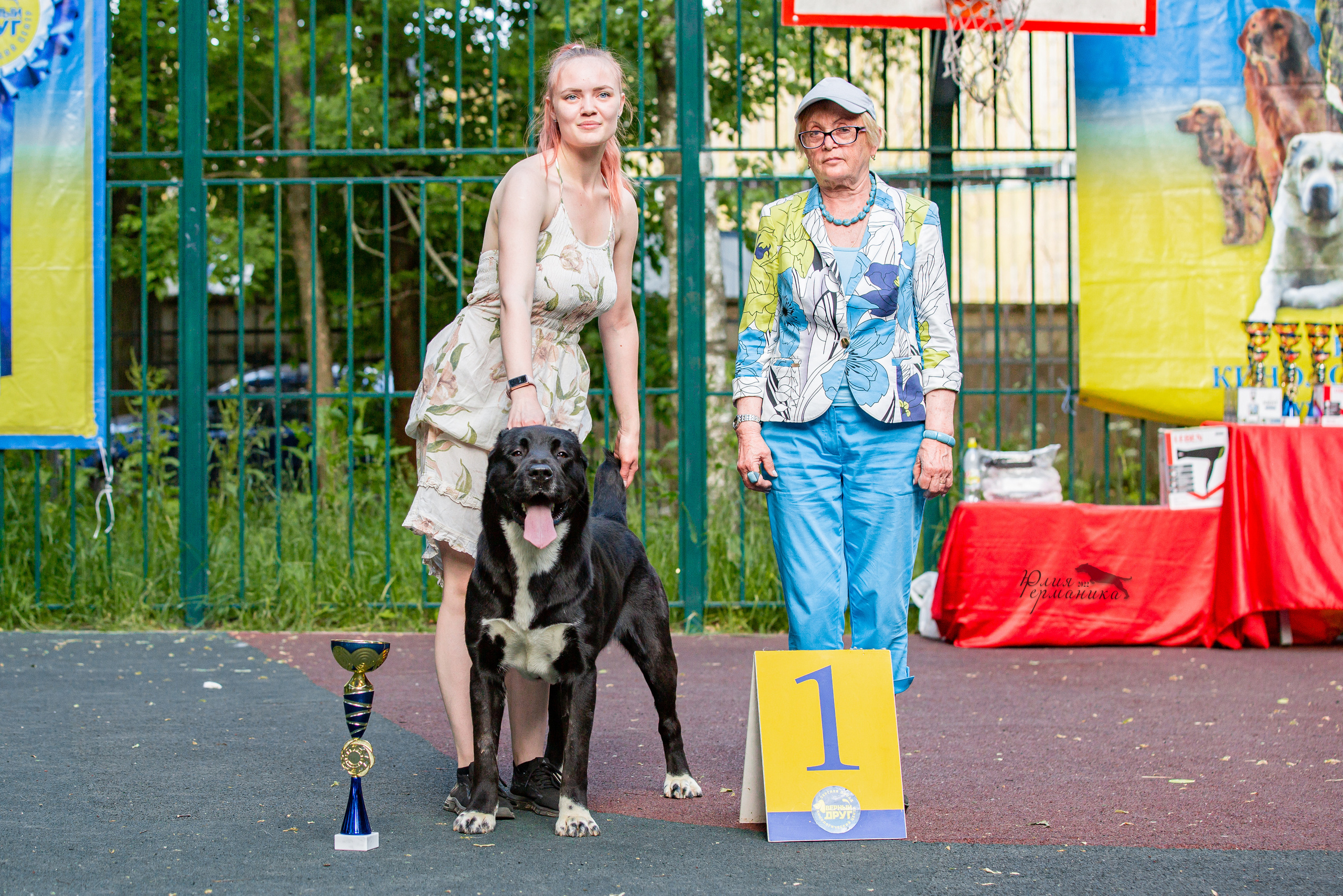 Сергиев Посад 2хСАС 25.06.2022. Фотограф-анималист Юлия Германика