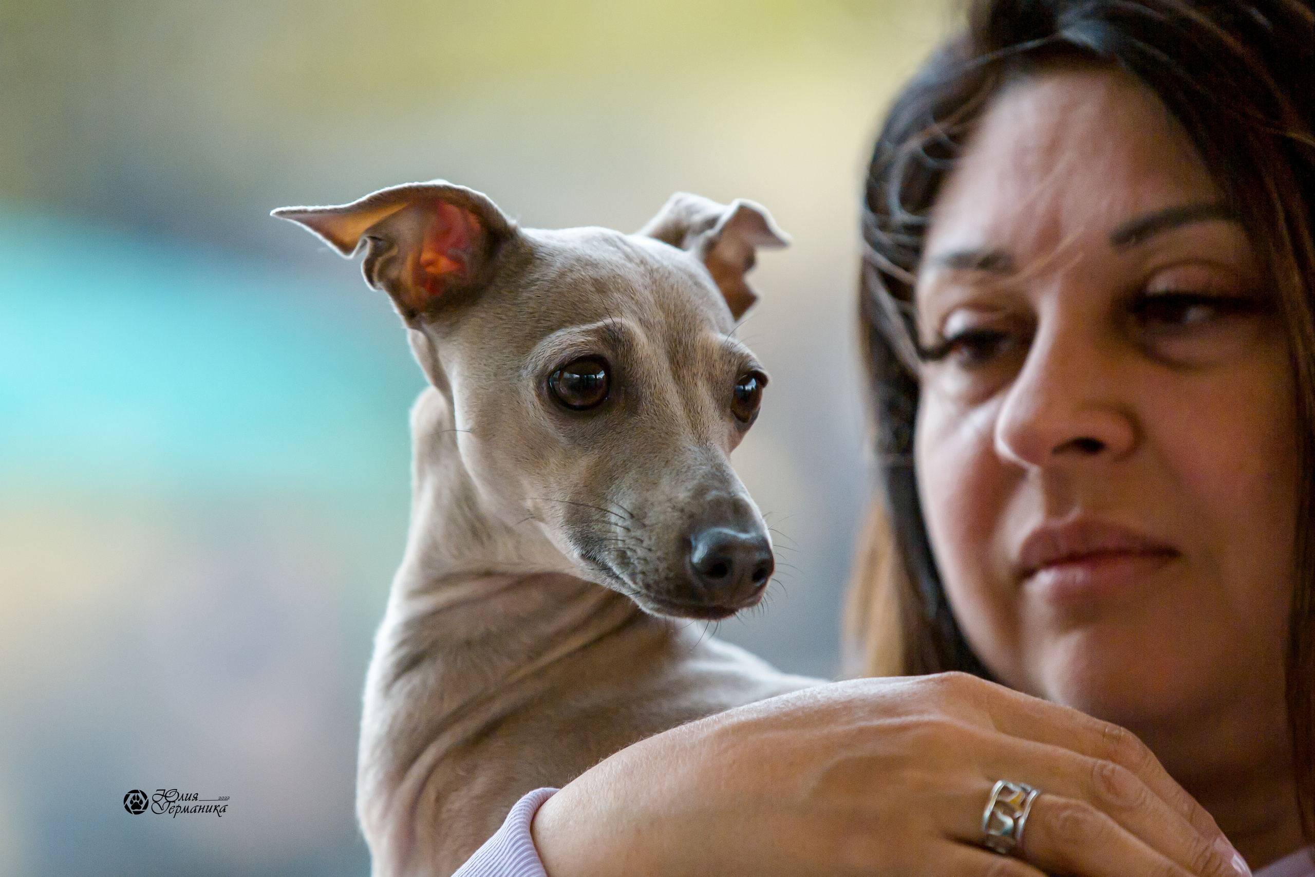 Александров 2хСАС 8 мая 2022. Фотограф-анималист Юлия Германика