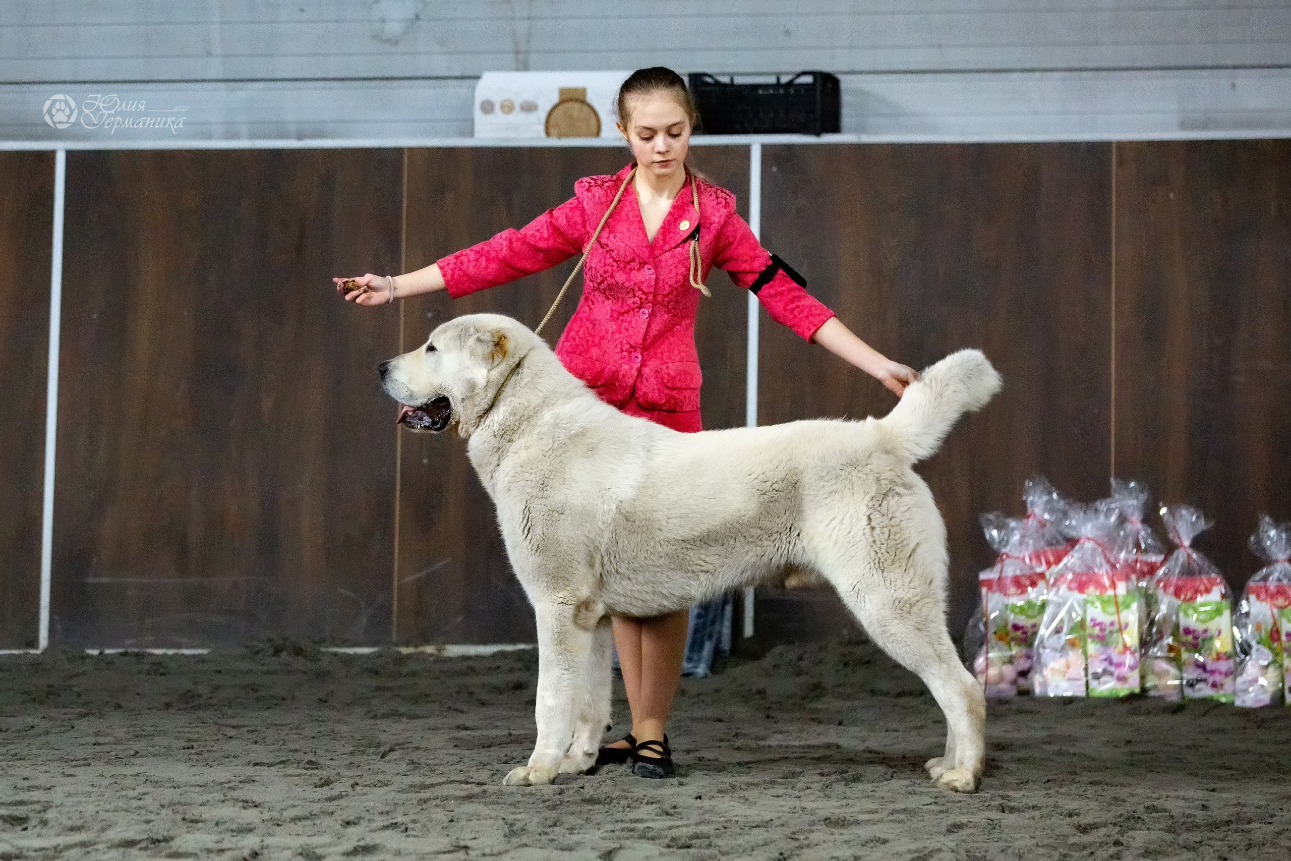 Националка САО+КЧК 24 апреля 2022. Фотограф-анималист Юлия Германика