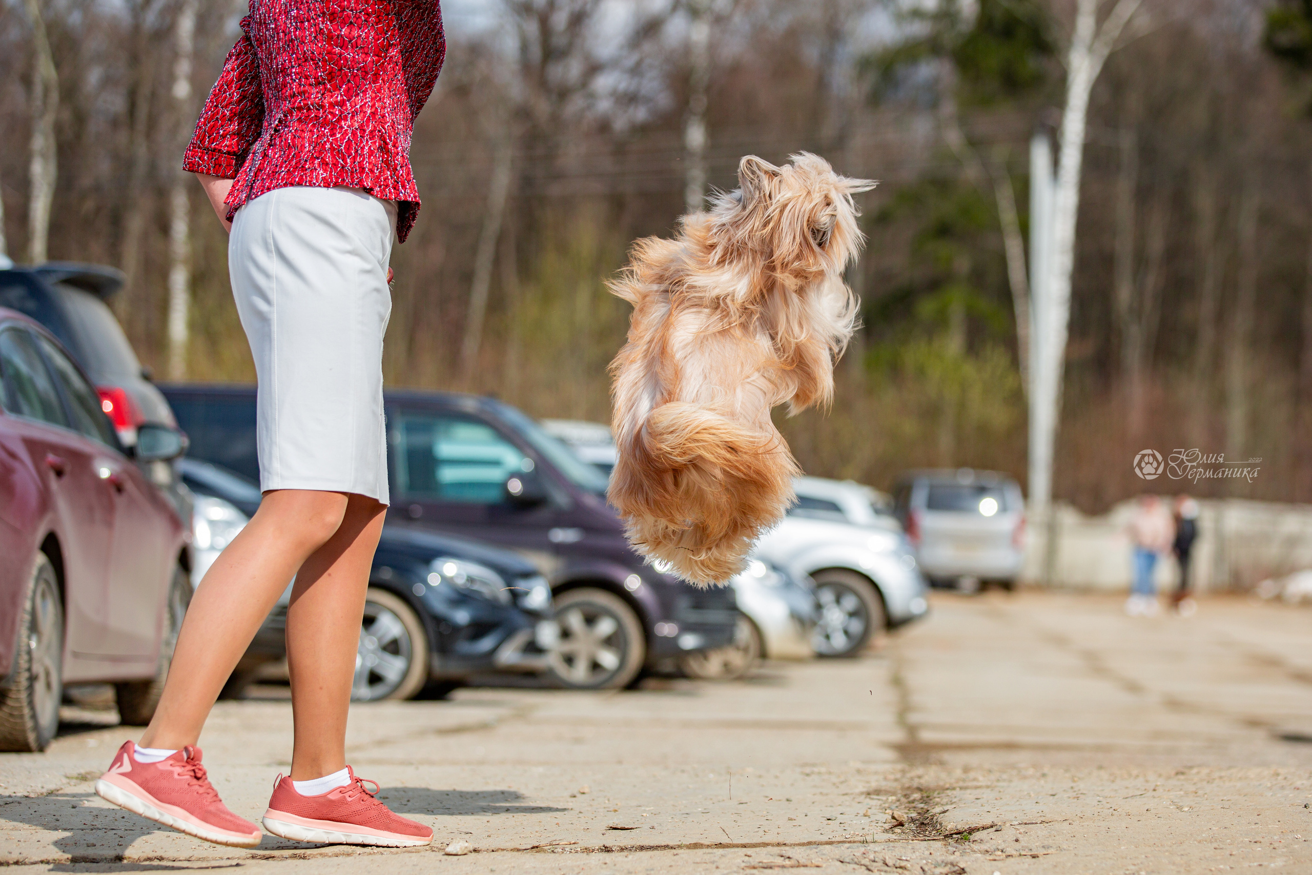 Сергиев Посад 23.04.2022. Фотограф-анималист Юлия Германика