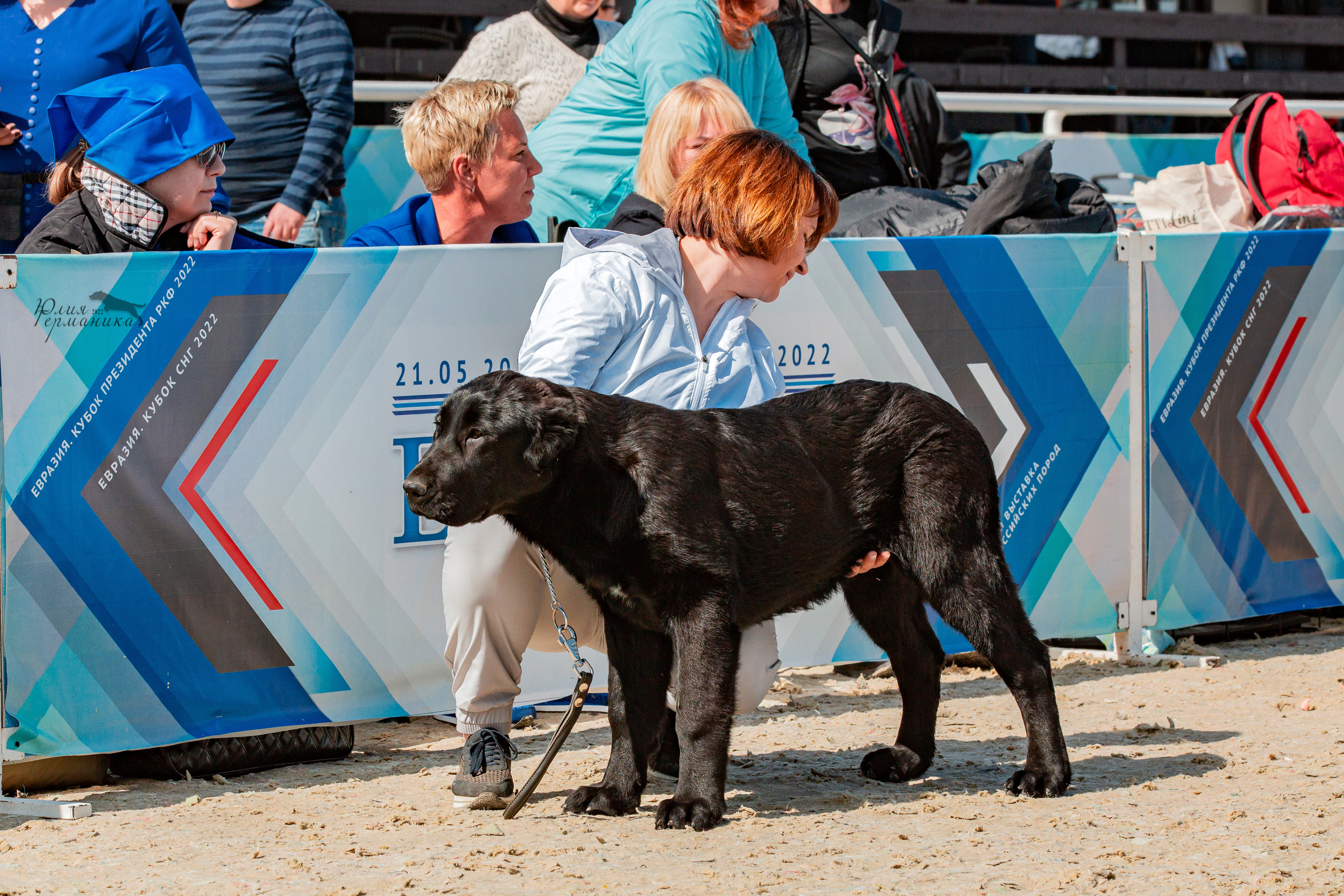Евразия 21-22 мая 2022. Фотограф-анималист Юлия Германика