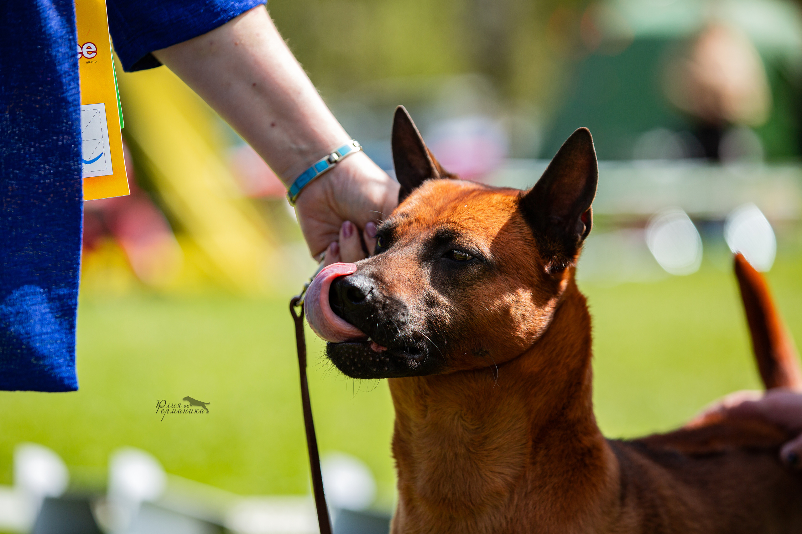 Пушкино 2хЧРКФ 14 мая 2022. Фотограф-анималист Юлия Германика