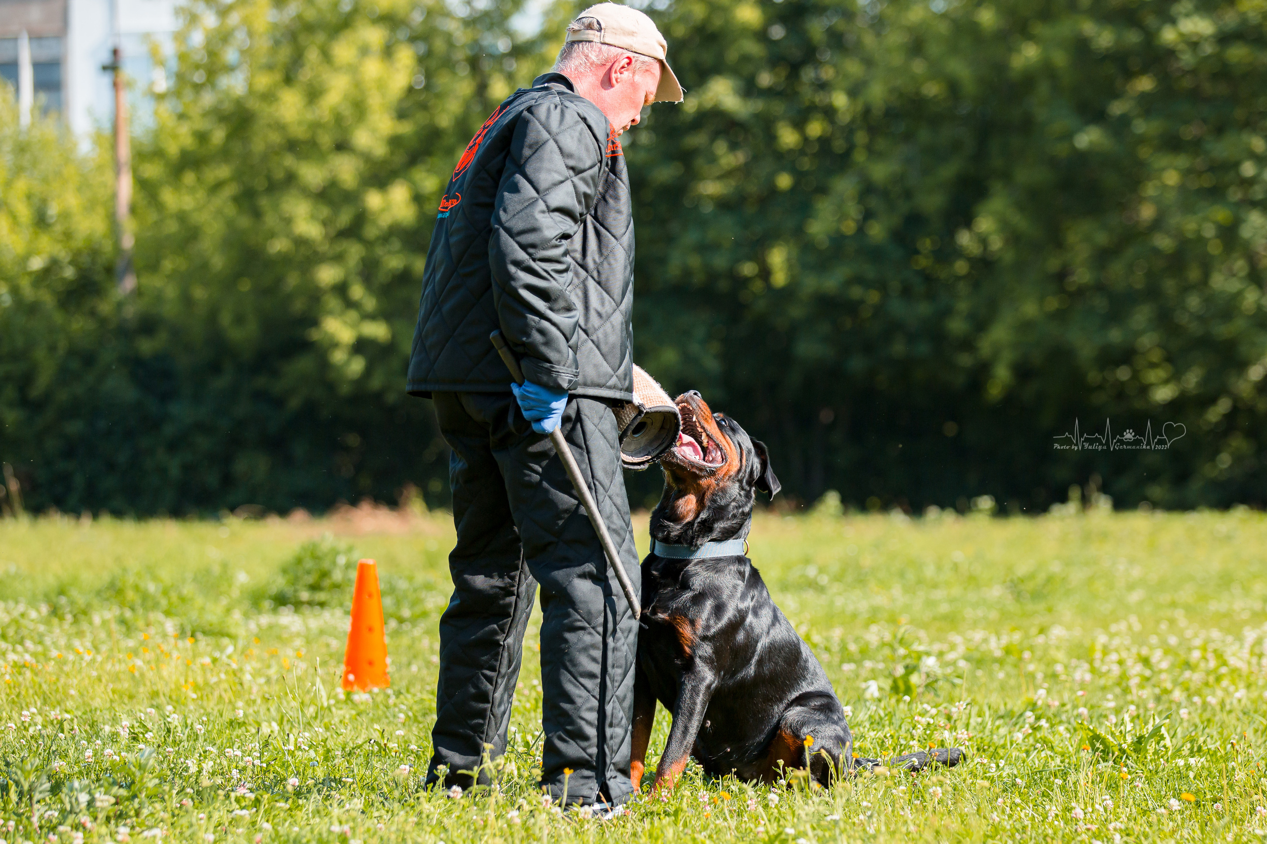 Санкт-Петербург моно ротвейлеров 23.07.2022. Фотограф-анималист Юлия Германика