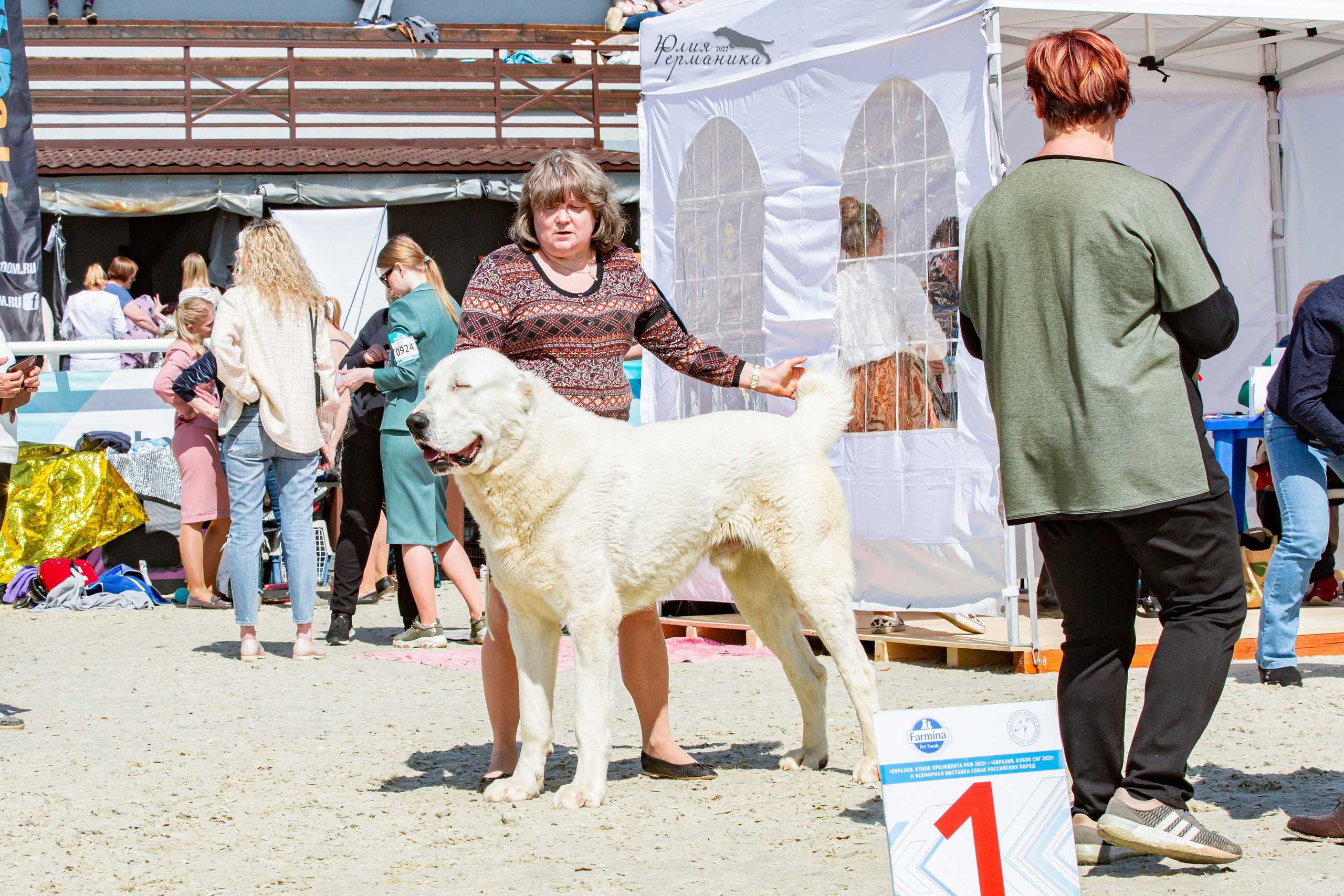 Евразия 21-22 мая 2022. Фотограф-анималист Юлия Германика