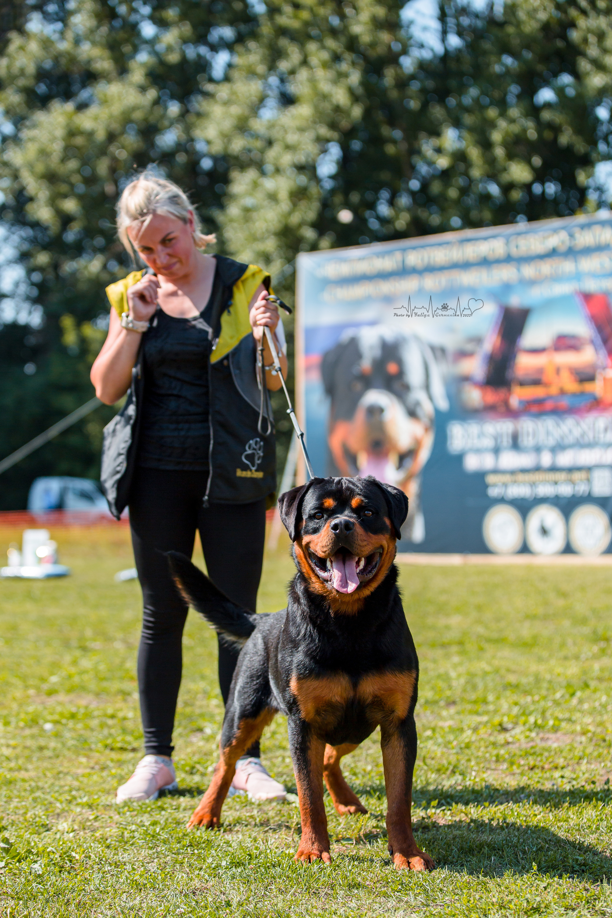 Санкт-Петербург моно ротвейлеров 23.07.2022. Фотограф-анималист Юлия Германика