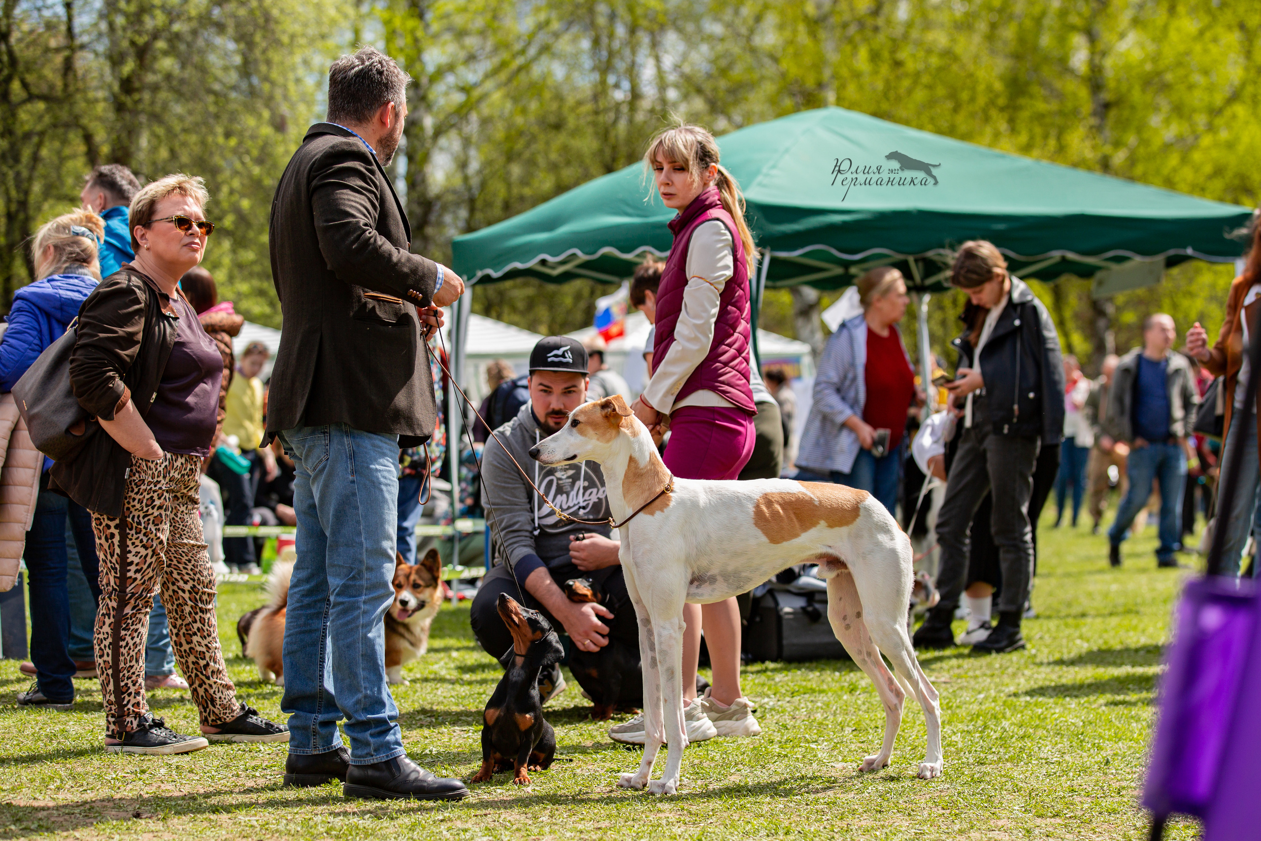 Пушкино 2хЧРКФ 14 мая 2022. Фотограф-анималист Юлия Германика