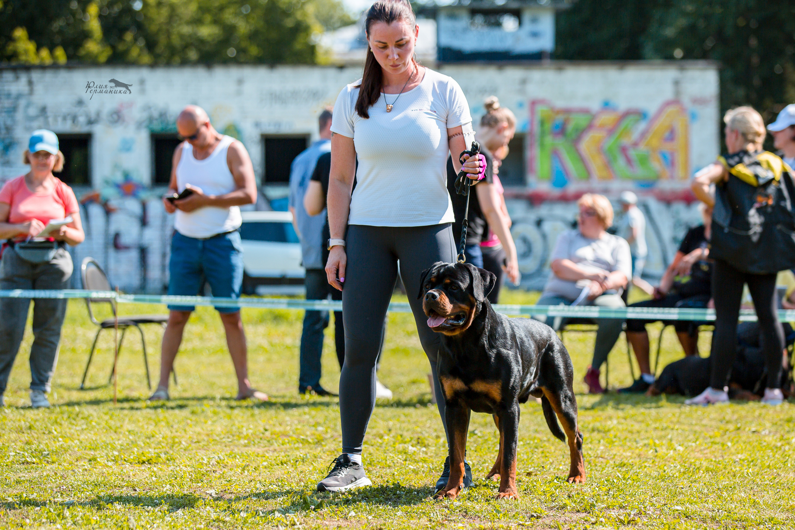 Санкт-Петербург моно ротвейлеров 23.07.2022. Фотограф-анималист Юлия Германика