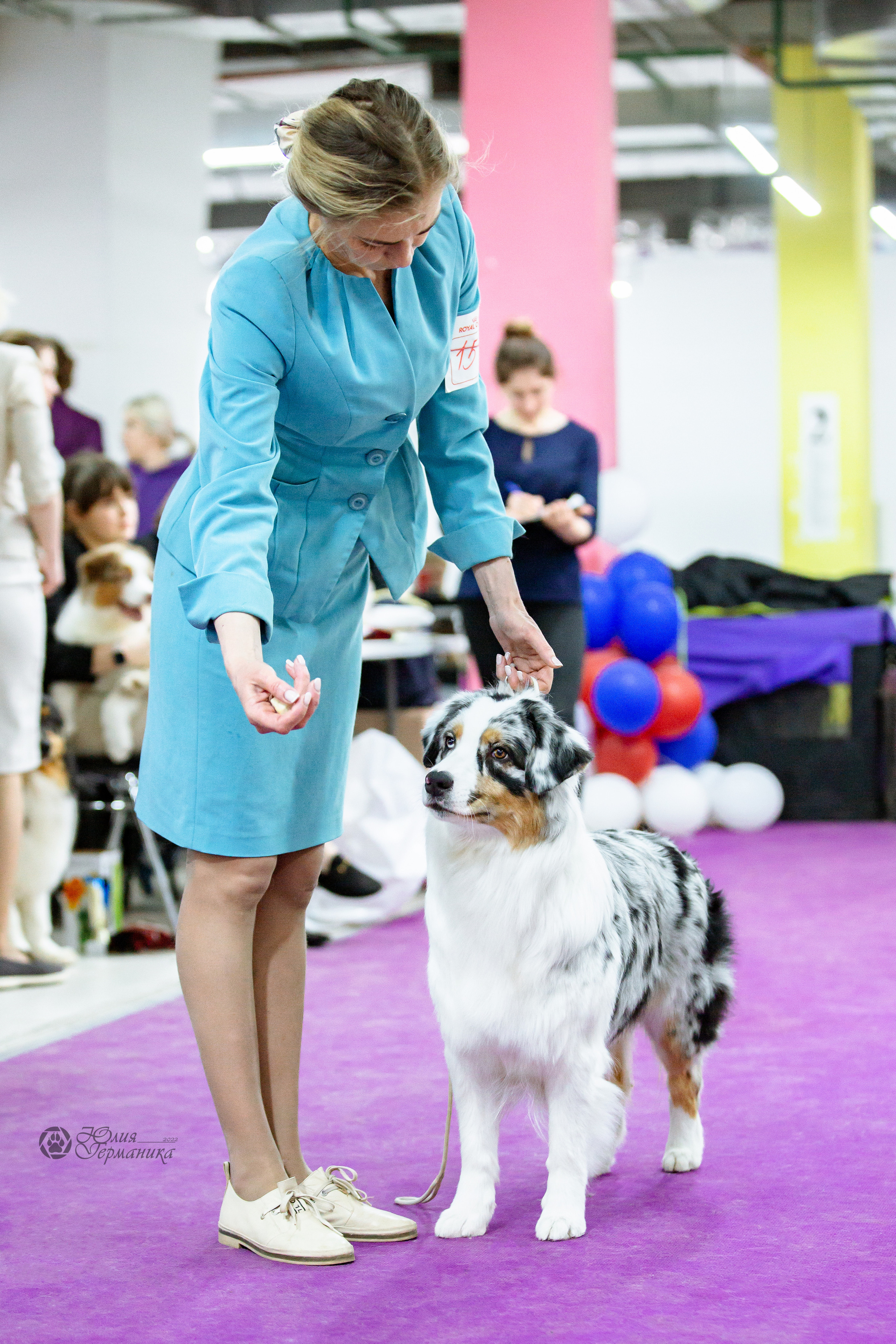 Чайна-Таун 16-17 апреля 2022. Фотограф-анималист Юлия Германика