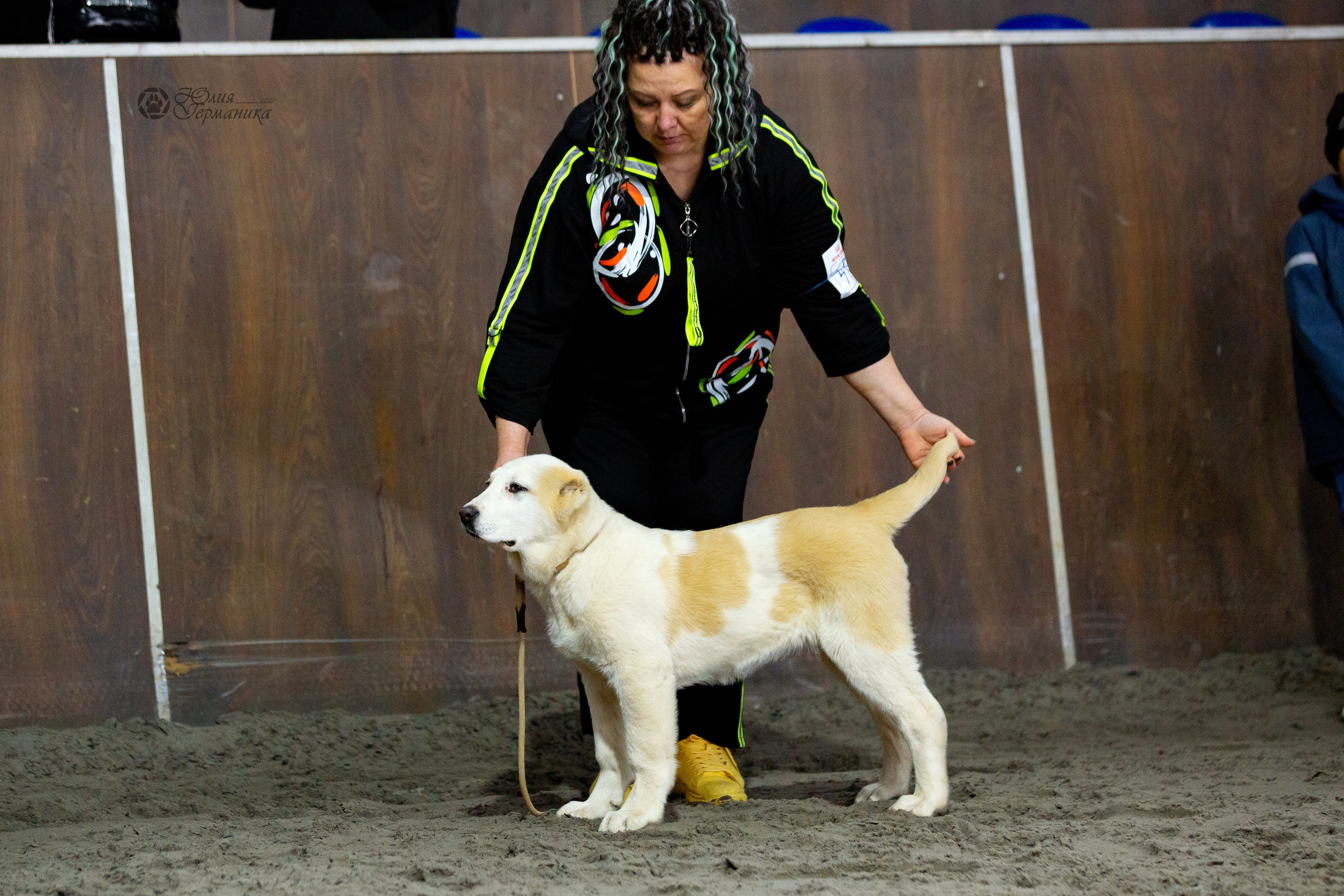 Националка САО+КЧК 24 апреля 2022. Фотограф-анималист Юлия Германика