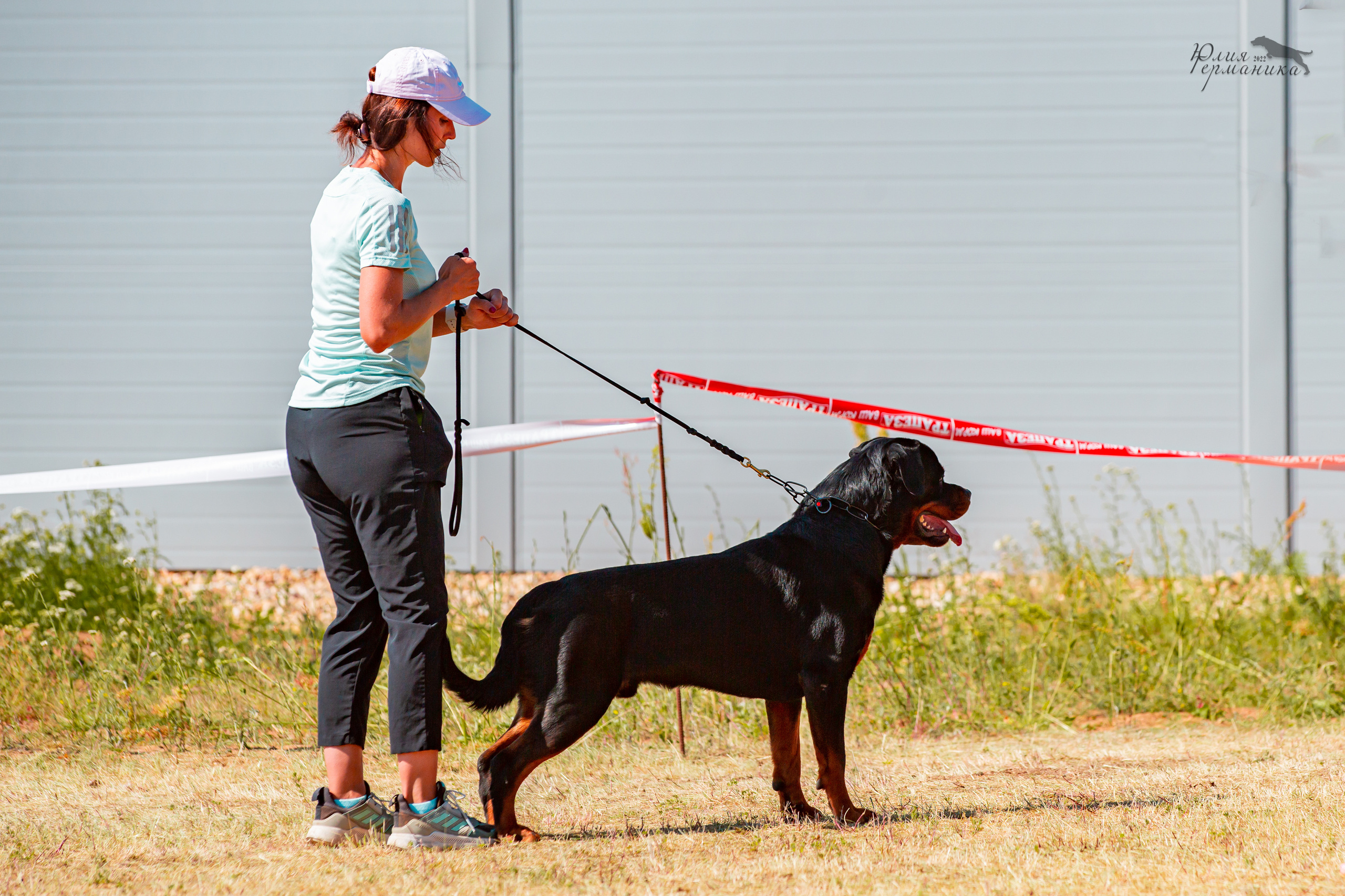 Тверь моно ротвейлеров 2-3.07.2022. Фотограф-анималист Юлия Германика