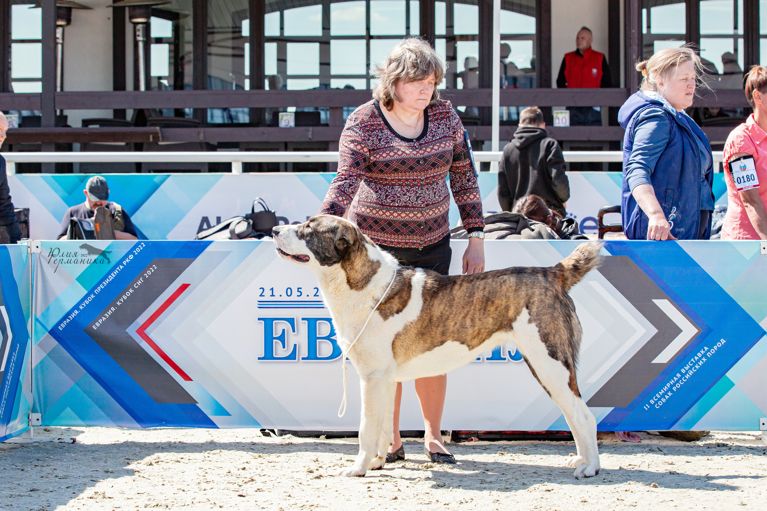 Евразия 21-22 мая 2022. Фотограф-анималист Юлия Германика
