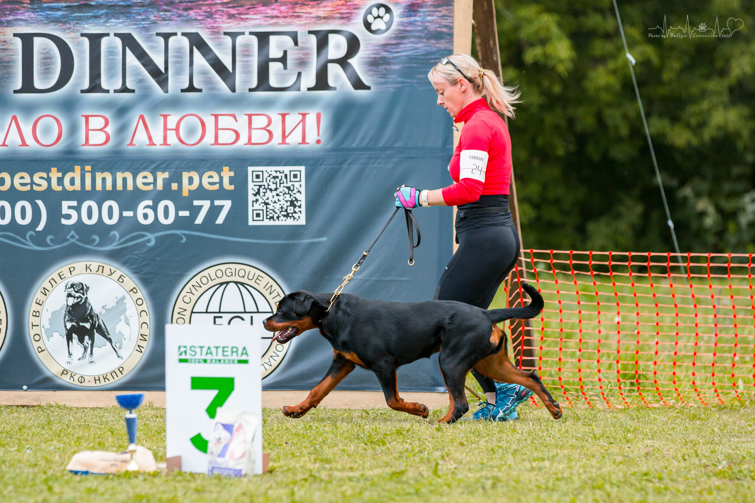 Санкт-Петербург моно ротвейлеров 23.07.2022. Фотограф-анималист Юлия Германика