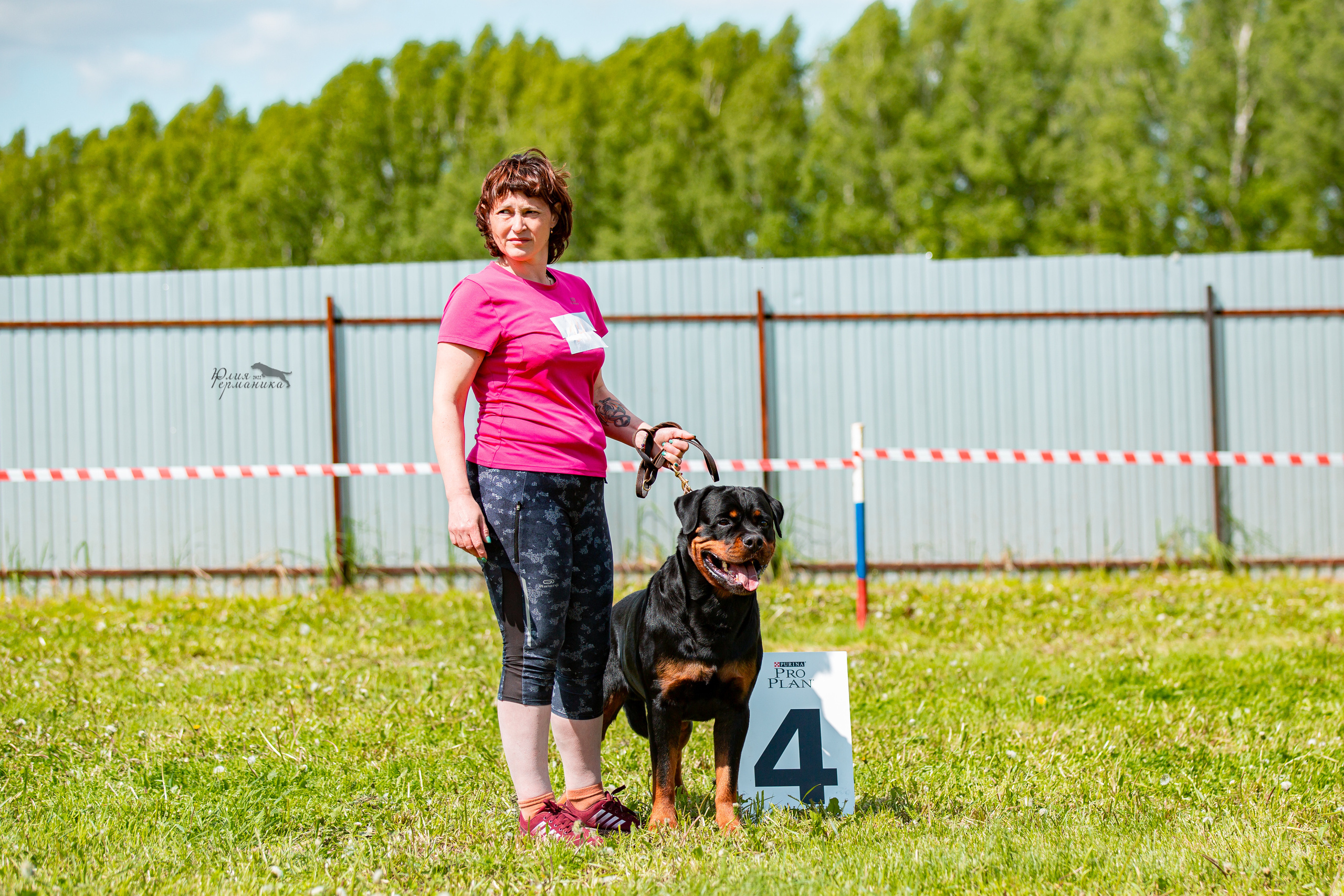 Нижний Новгород моно ротвейлеров 4 июня 2022. Фотограф-анималист Юлия Германика