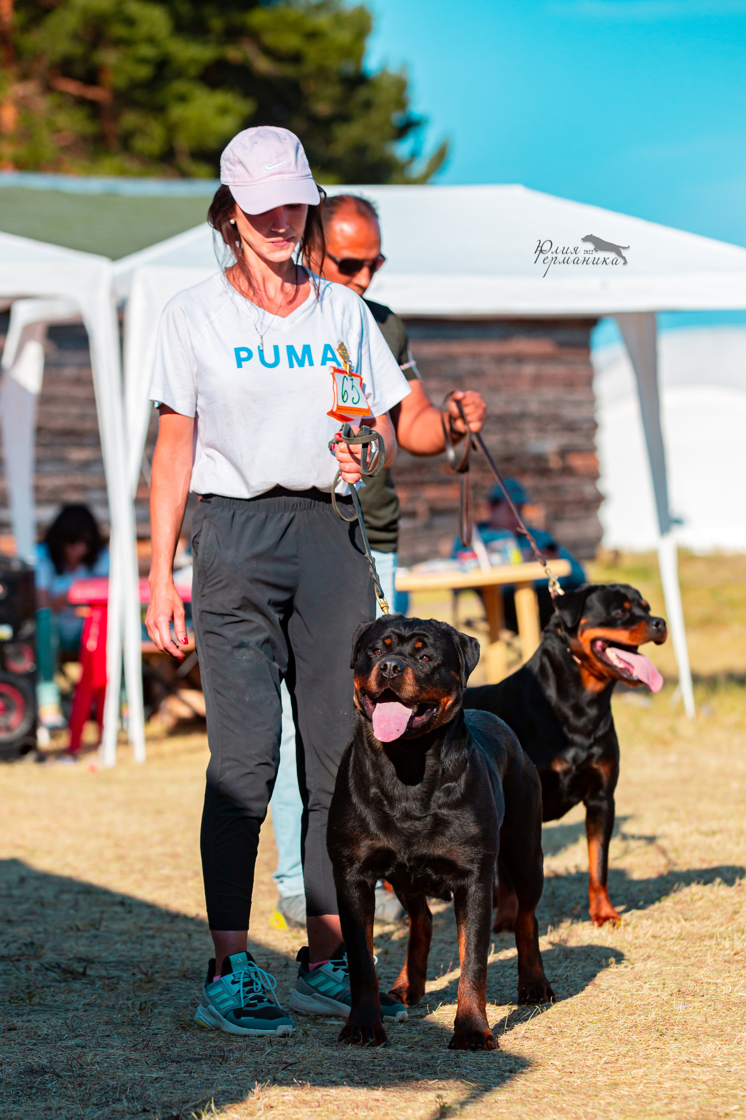 Тверь моно ротвейлеров 2-3.07.2022. Фотограф-анималист Юлия Германика