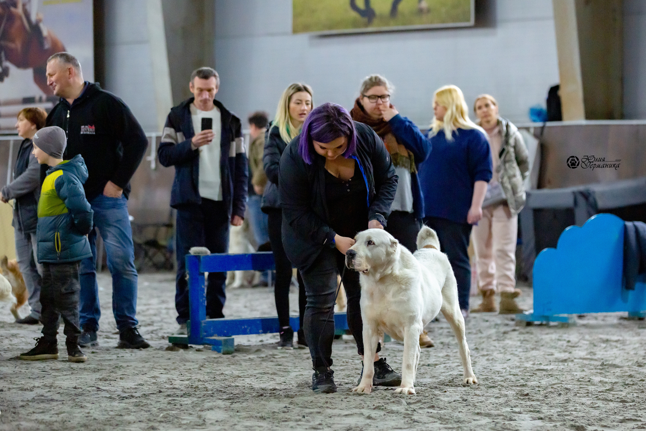 Националка САО+КЧК 24 апреля 2022. Фотограф-анималист Юлия Германика