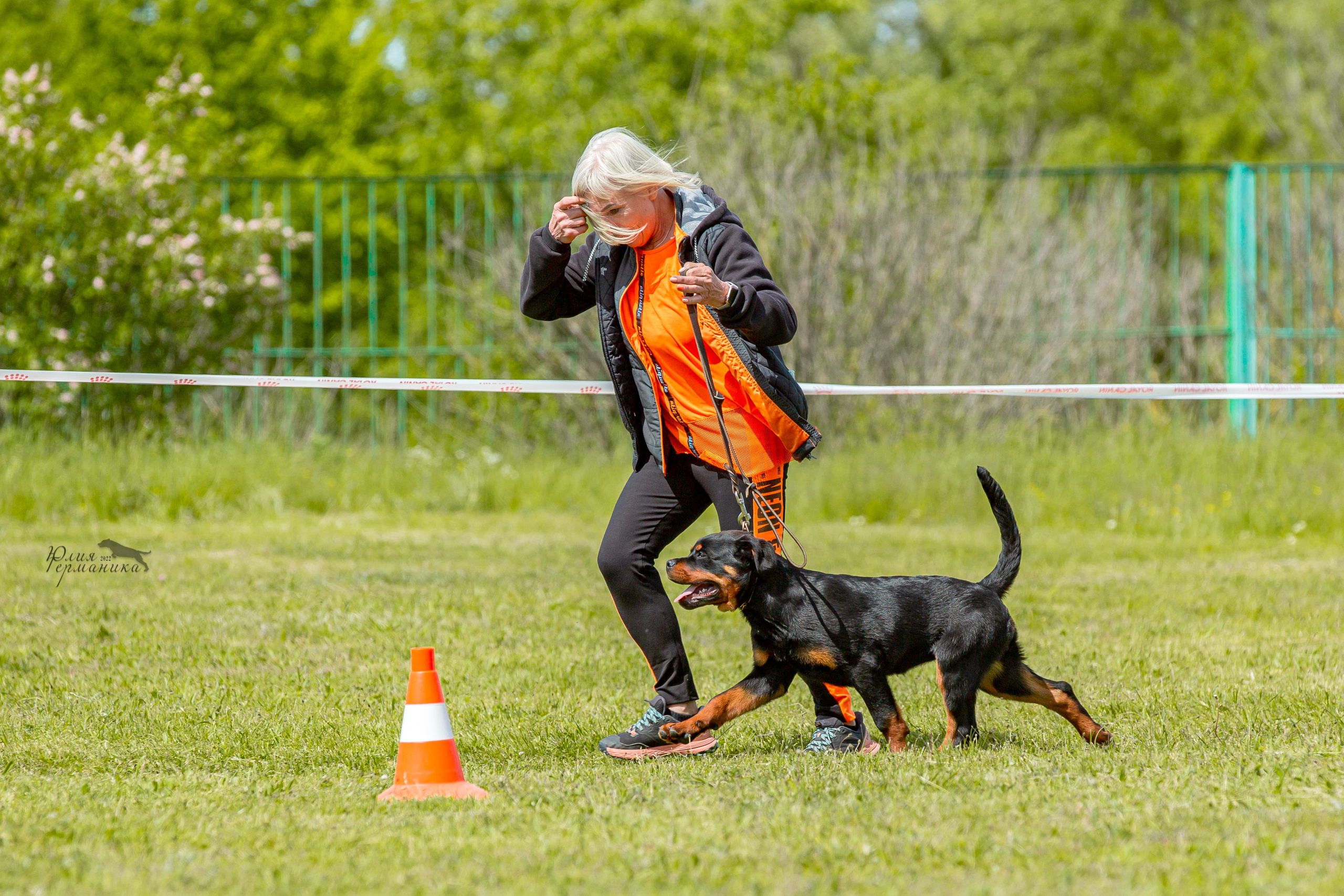Воронеж моно ротвейлеров 28-29 мая 2022. Фотограф-анималист Юлия Германика