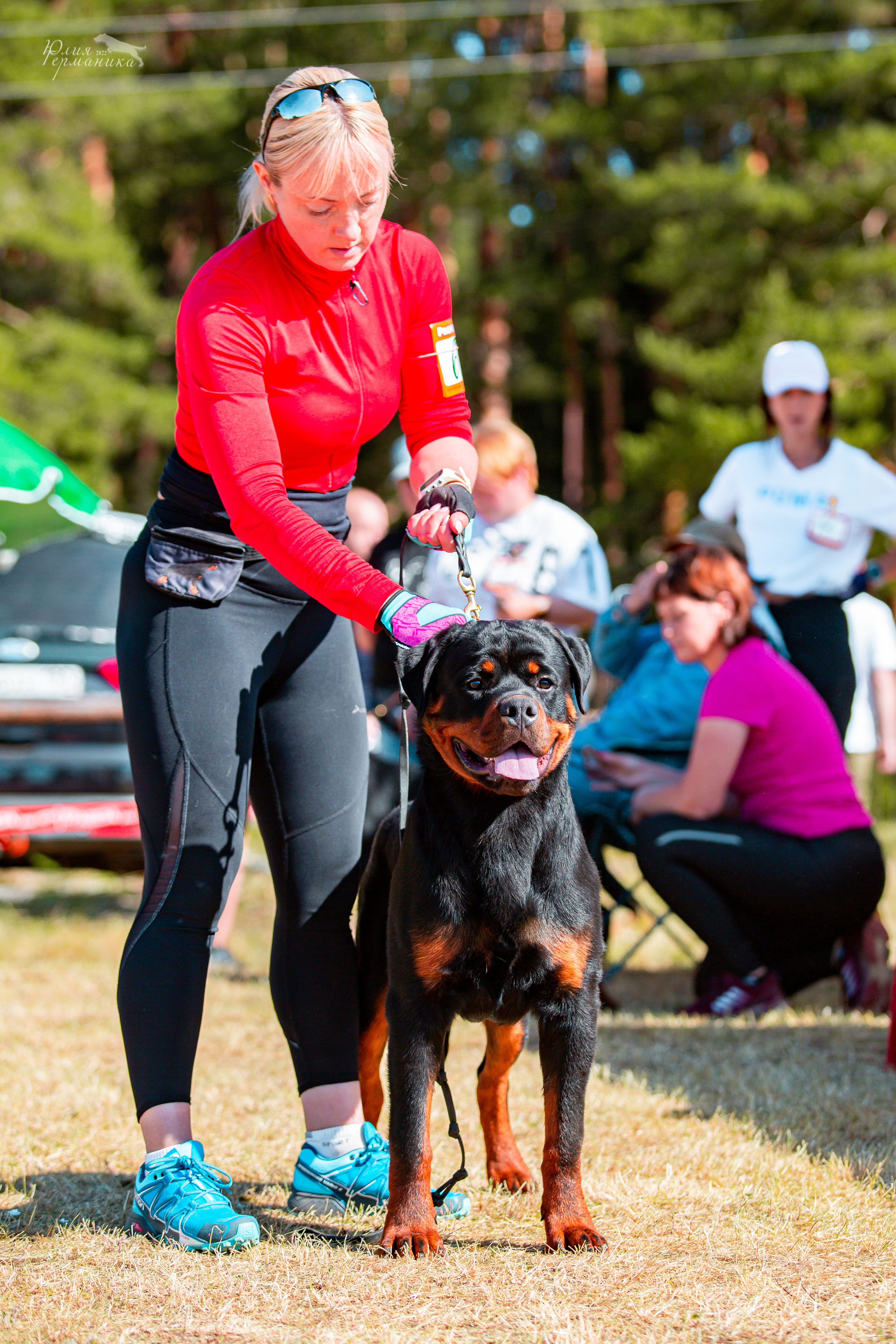 Тверь моно ротвейлеров 2-3.07.2022. Фотограф-анималист Юлия Германика
